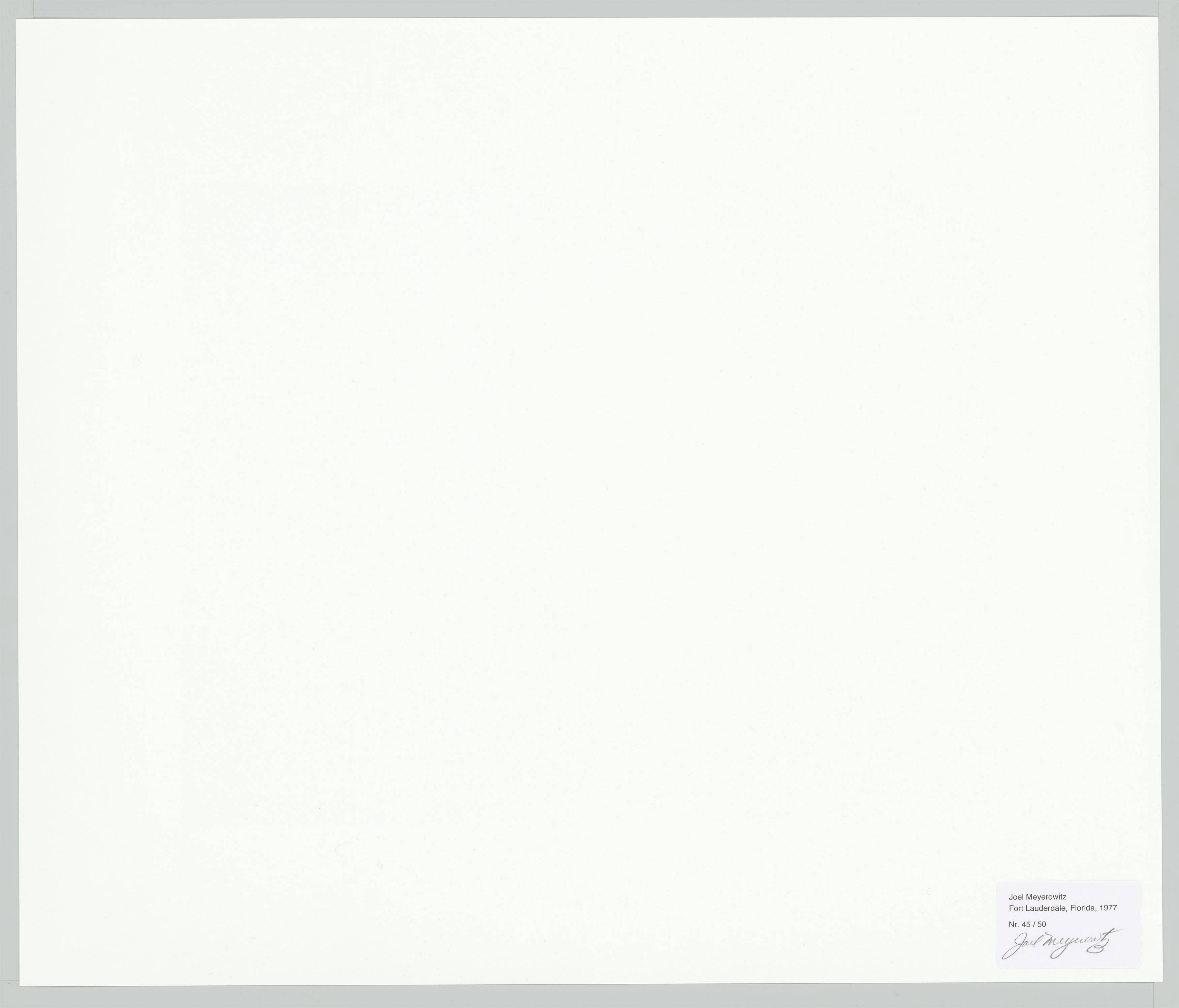 This picture shows the following artwork: Joel Meyerowitz. Fort Lauderdale, Florida. 1977.