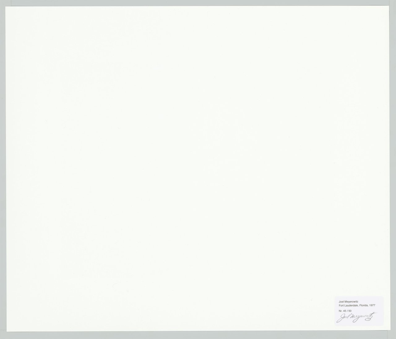 This picture shows the following artwork: Joel Meyerowitz. Fort Lauderdale, Florida. 1977.