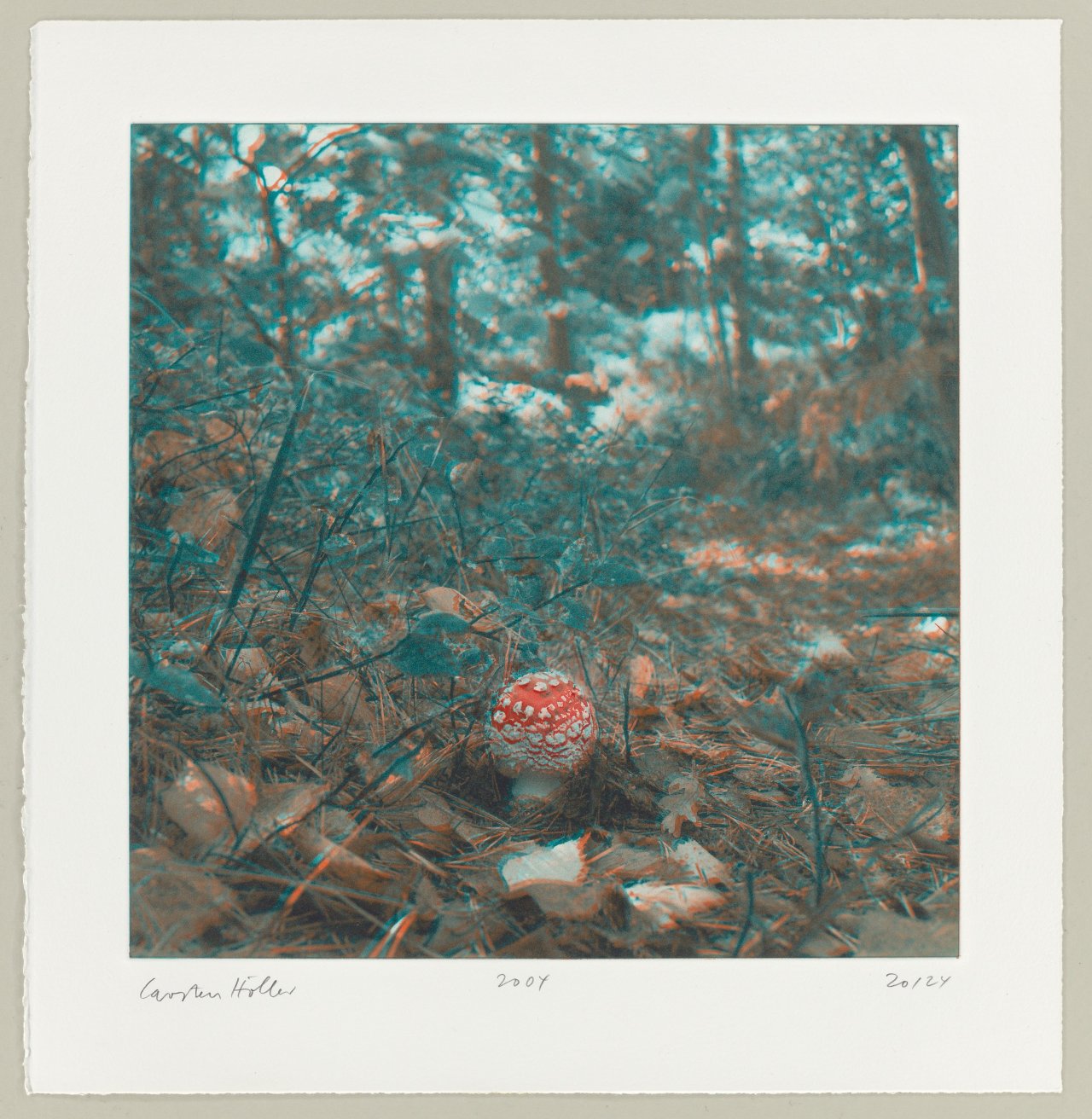This picture shows the following artwork: Carsten Höller. From: ”Mushrooms”. 2004.