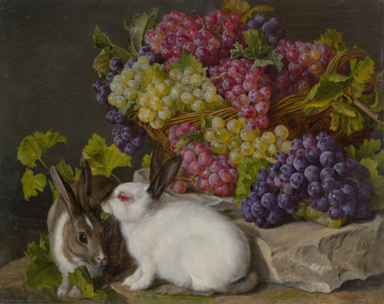 This picture shows the following artwork: Johanna („Jenny") Fischer. Two rabbits with grapes. 1842.