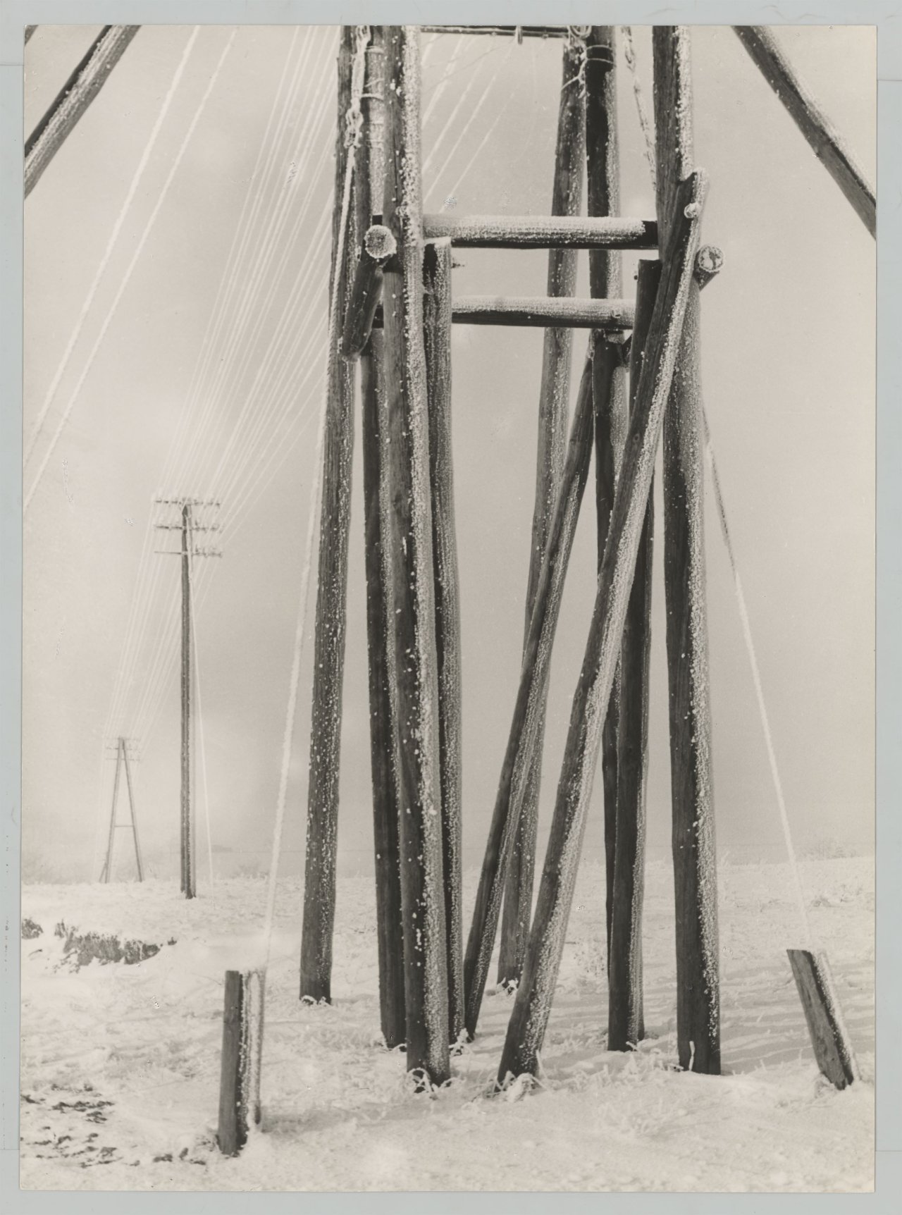 This picture shows the following artwork: Albert Renger-Patzsch. ”B[ei]/ Harzburg”. 1925.