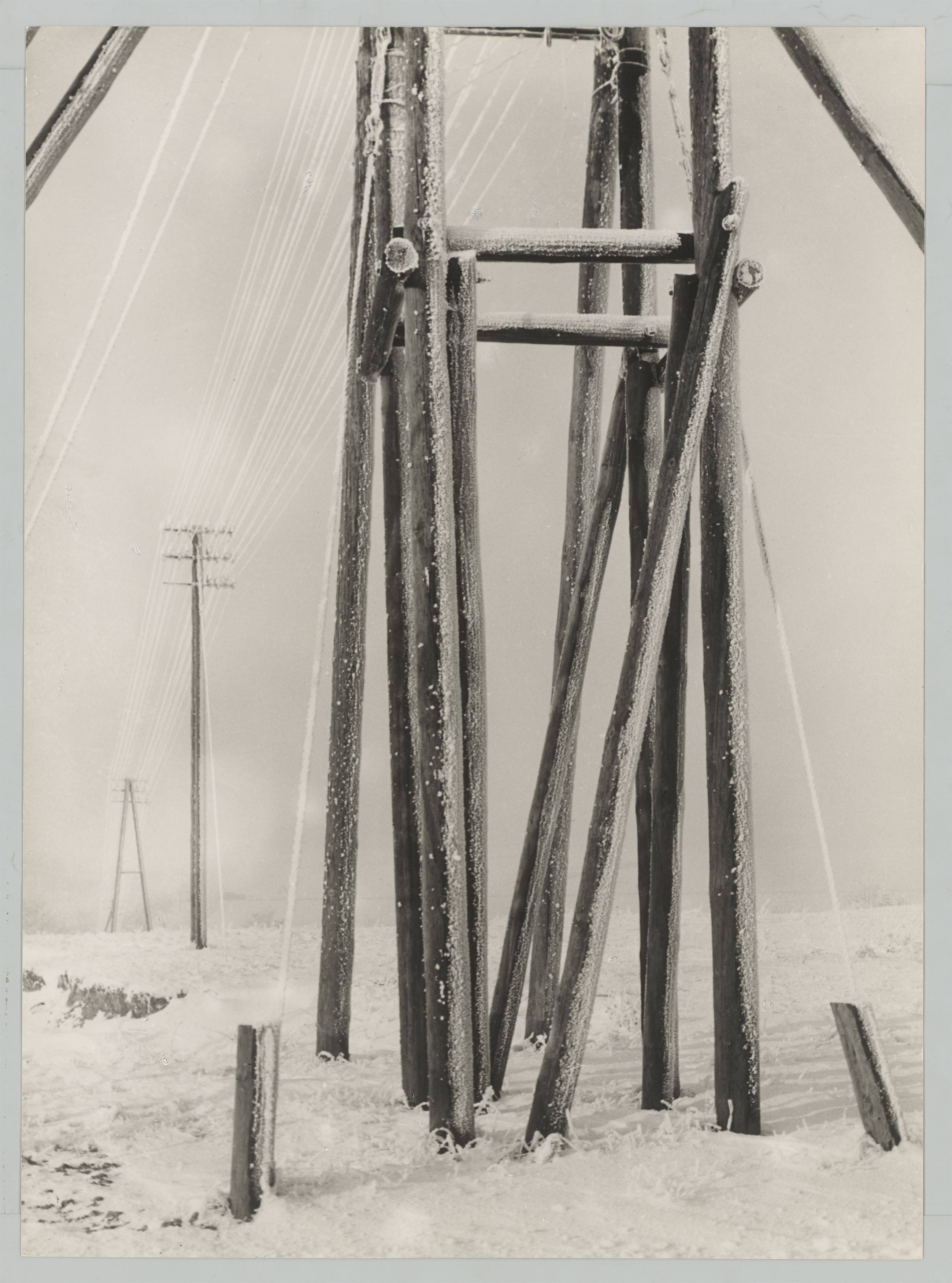 This picture shows the following artwork: Albert Renger-Patzsch. ”B[ei]/ Harzburg”. 1925.