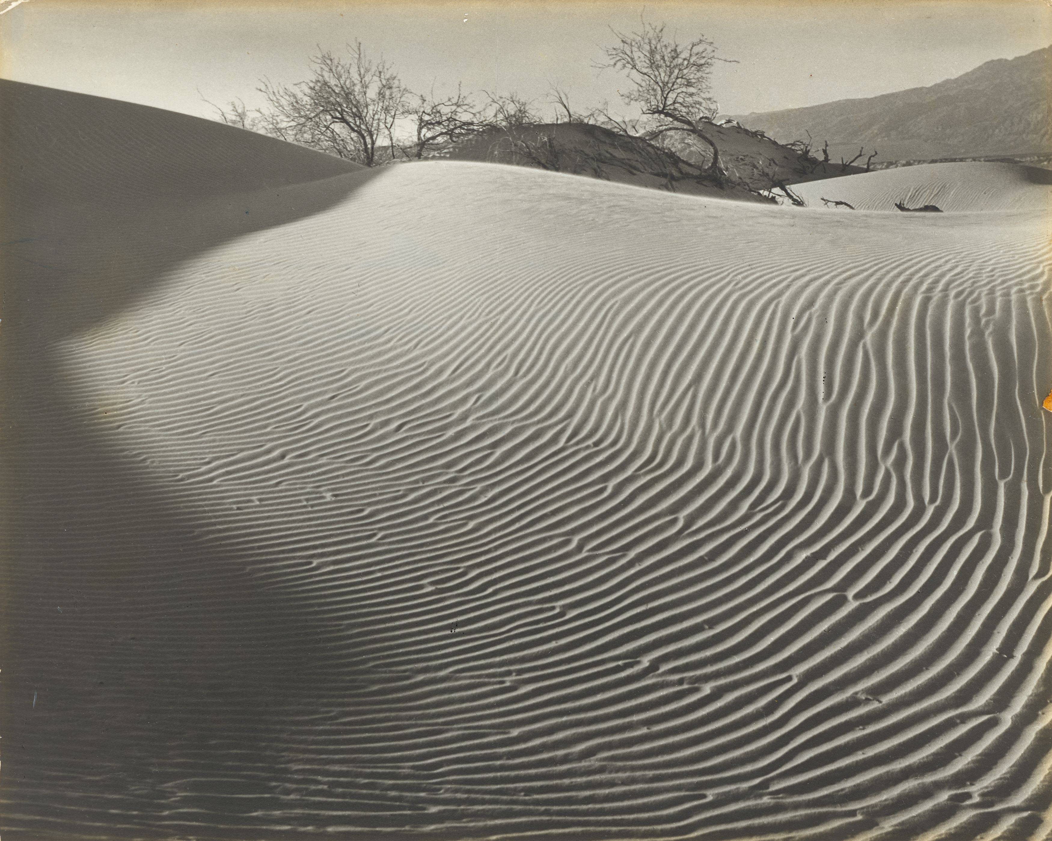 This picture shows the following artwork: Floyd Butler Evans. ”Nature's Labyrinth”. Circa 1940.