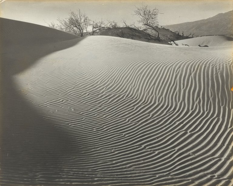 This picture shows the following artwork: Floyd Butler Evans. ”Nature's Labyrinth”. Circa 1940.
