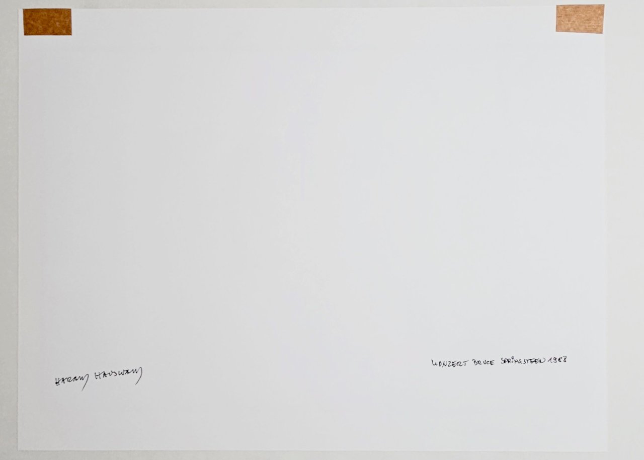 This picture shows the following artwork: Harald Hauswald. ”Konzert Bruce Springsteen”. Berlin, Weissensee. 1988.