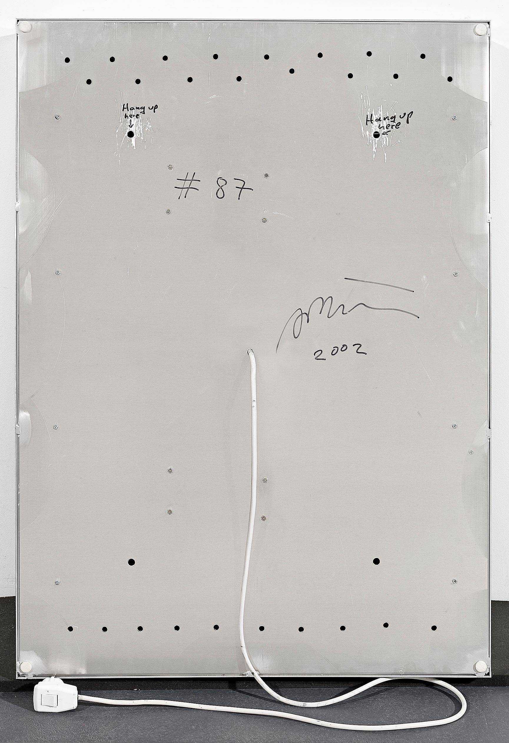 This picture shows the following artwork: Daniele Buetti. Light box # 87. How can the Drops of Water know themselves to be a River?. 2002.