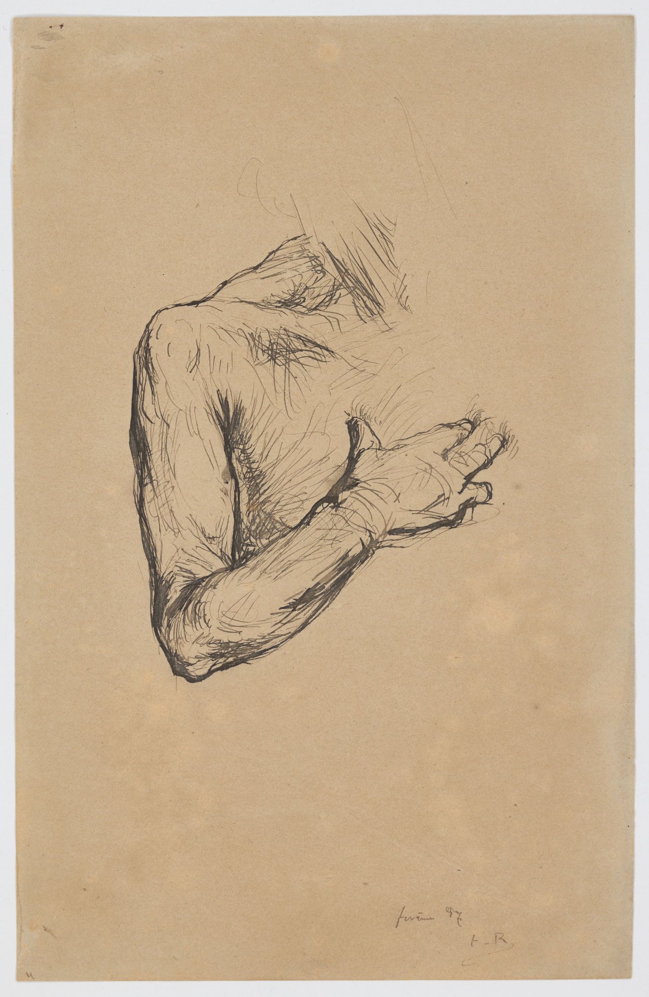 This picture shows the following artwork: Théodule Ribot. Study of a male torso. 1887.
