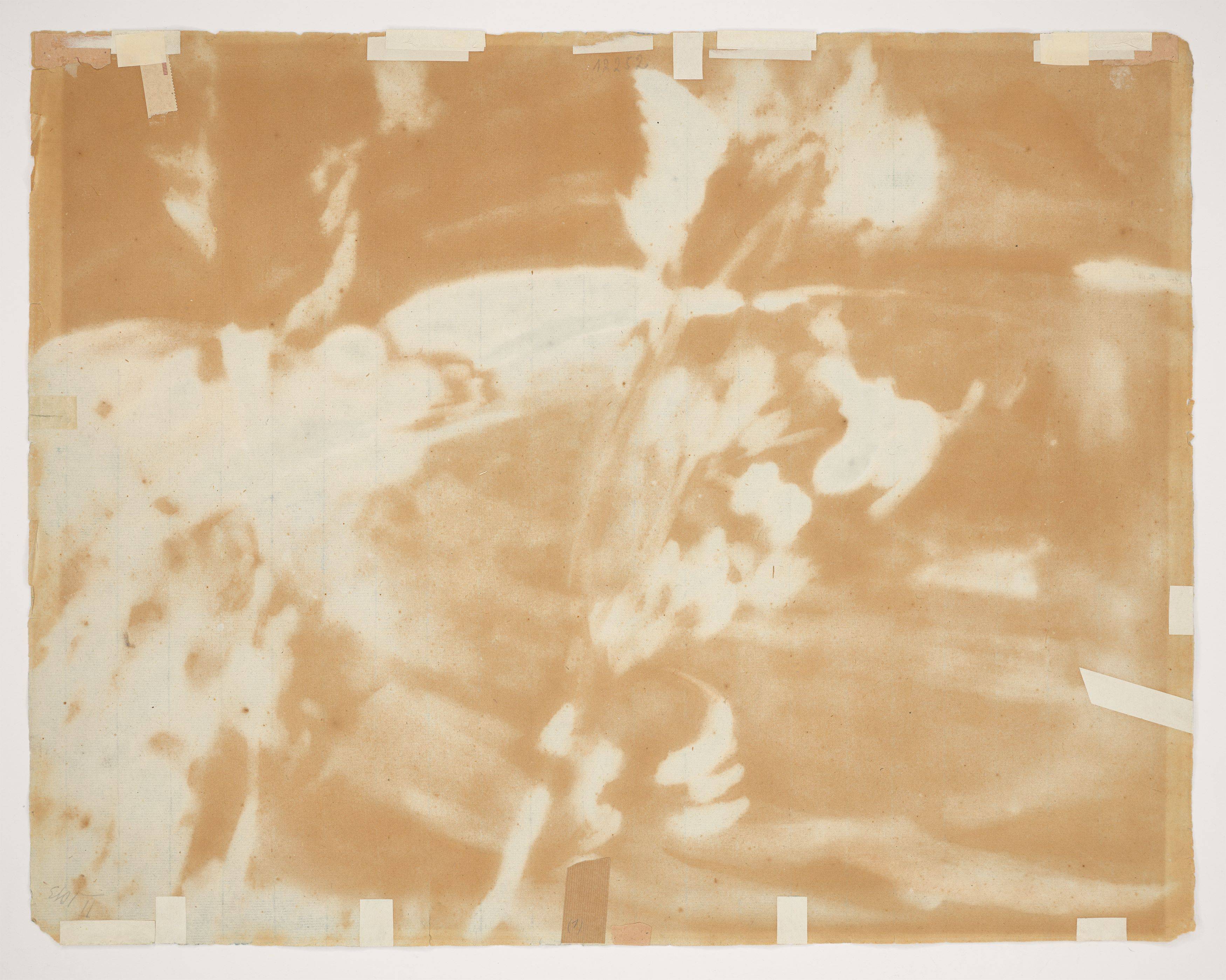 This picture shows the following artwork: Erich Heckel. ”Baum vorm Meer”. 1920.