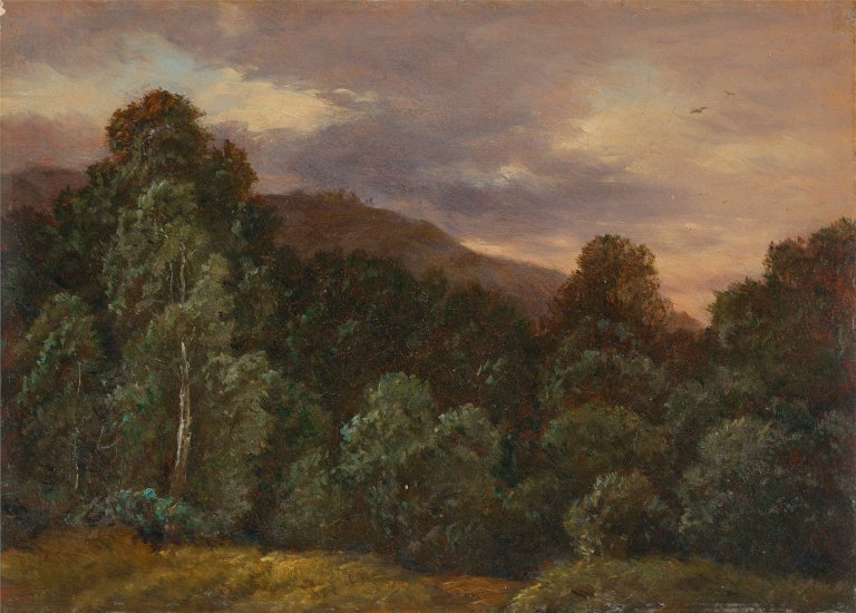 This picture shows the following artwork: Carl Gustav Carus. ”Laubwald. Landschaft mit Vögeln und Bäumen”.