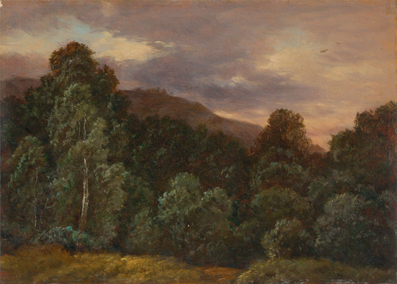 This picture shows the following artwork: Carl Gustav Carus. ”Laubwald. Landschaft mit Vögeln und Bäumen”.