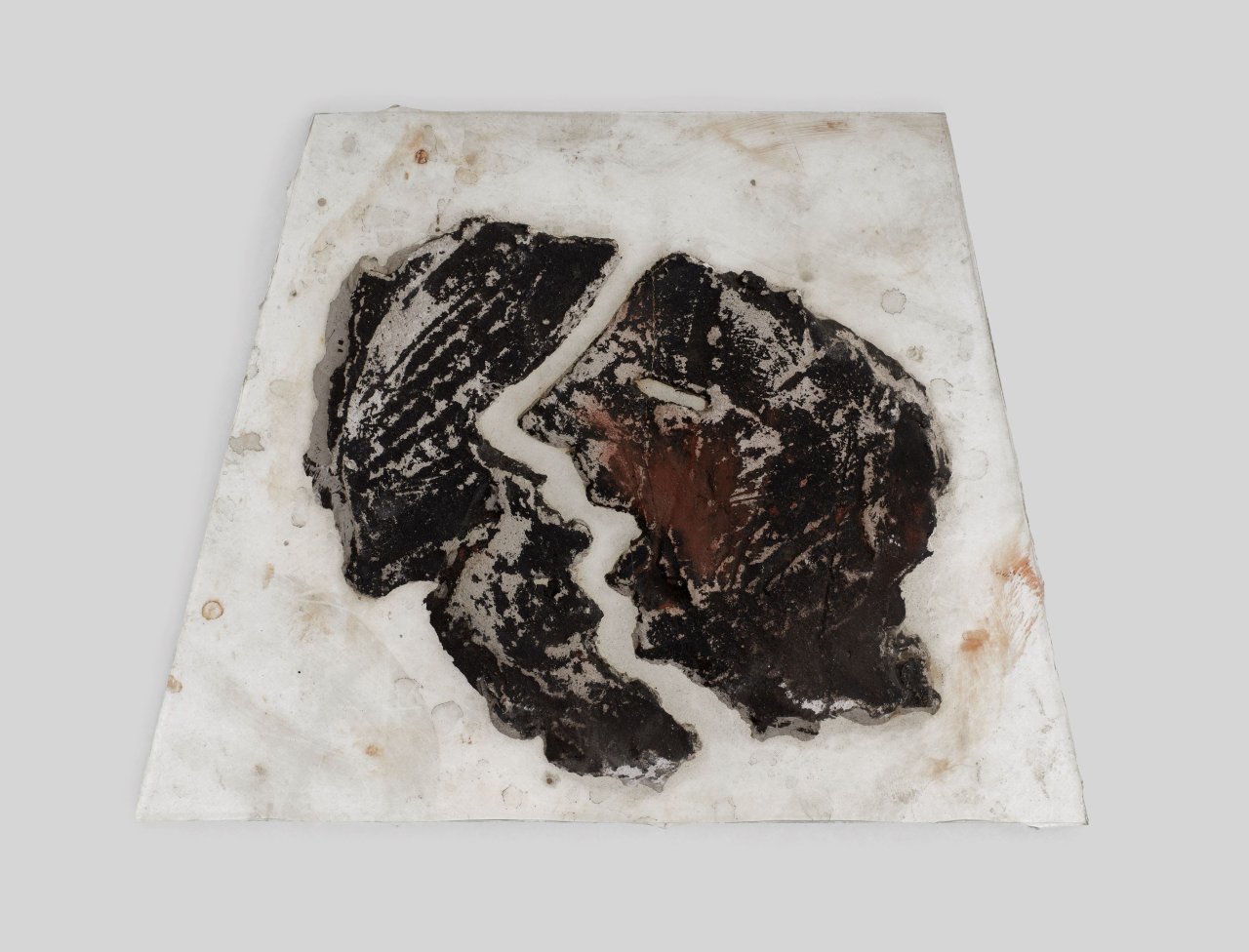 Auf diesem Bild ist das folgende Kunstwerk zu sehen: Hermann Glöckner. Gipsfleck, zum Profil geöffnet. 1960.