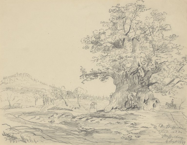 This picture shows the following artwork: Johan Christian Clausen Dahl. ”Die Staffelsteiner Linde und die Staffelburg” (The Staffelstein Linden Tree and Staffelburg Castle). 1849.