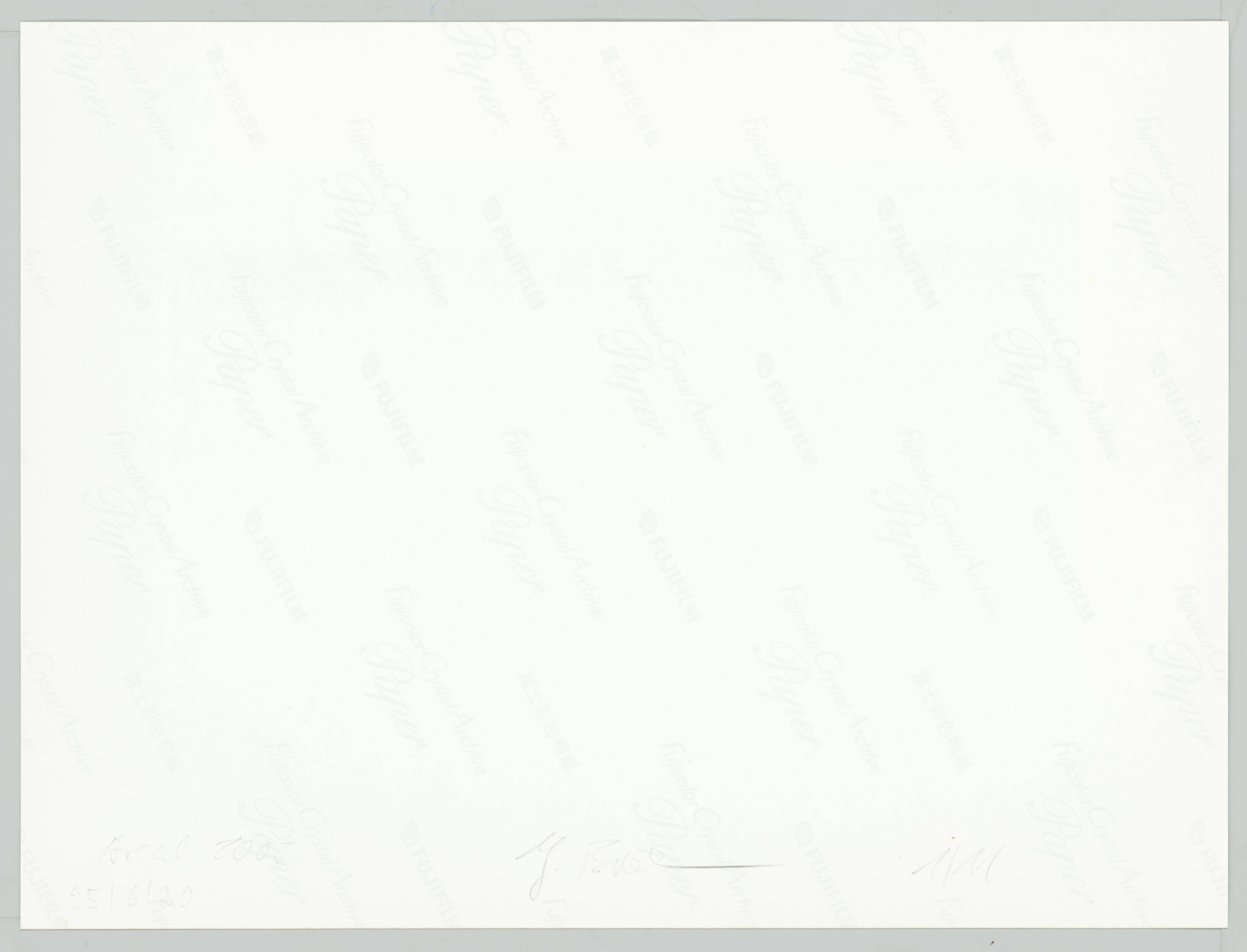 This picture shows the following artwork: Joachim Brohm. From the series ”Areal”, 1992–2002. 1995.