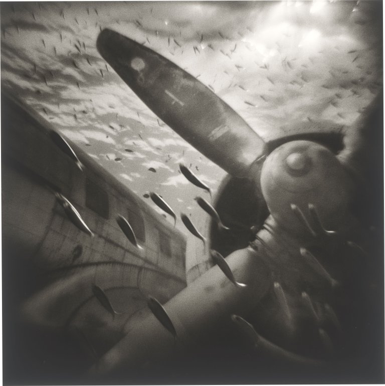 Auf diesem Bild ist das folgende Kunstwerk zu sehen: Gregor Törzs. Ciel Lourd # 8 / Ciel Lourd # 12. Je 2009.
