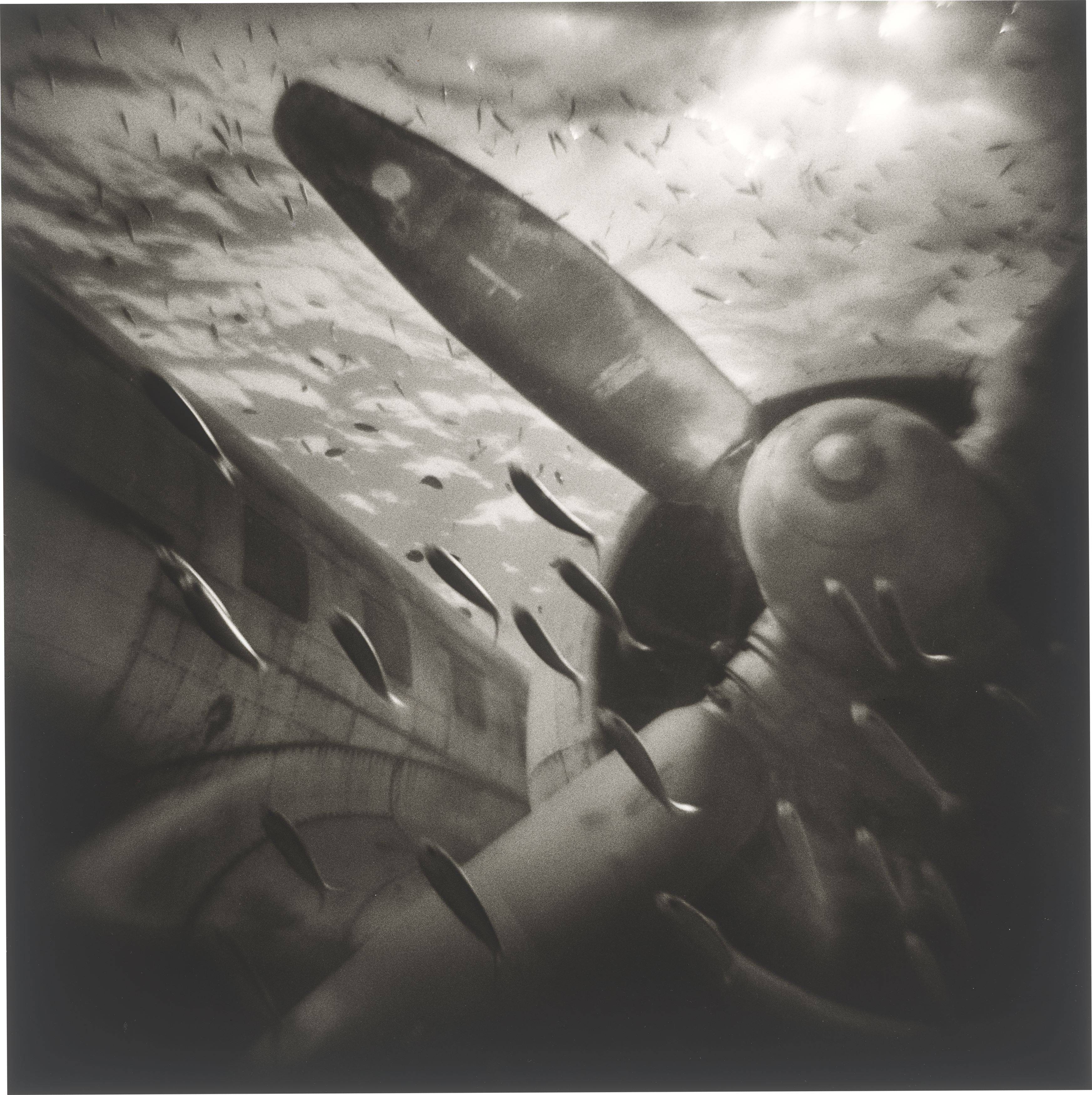 Auf diesem Bild ist das folgende Kunstwerk zu sehen: Gregor Törzs. Ciel Lourd # 8 / Ciel Lourd # 12. Je 2009.