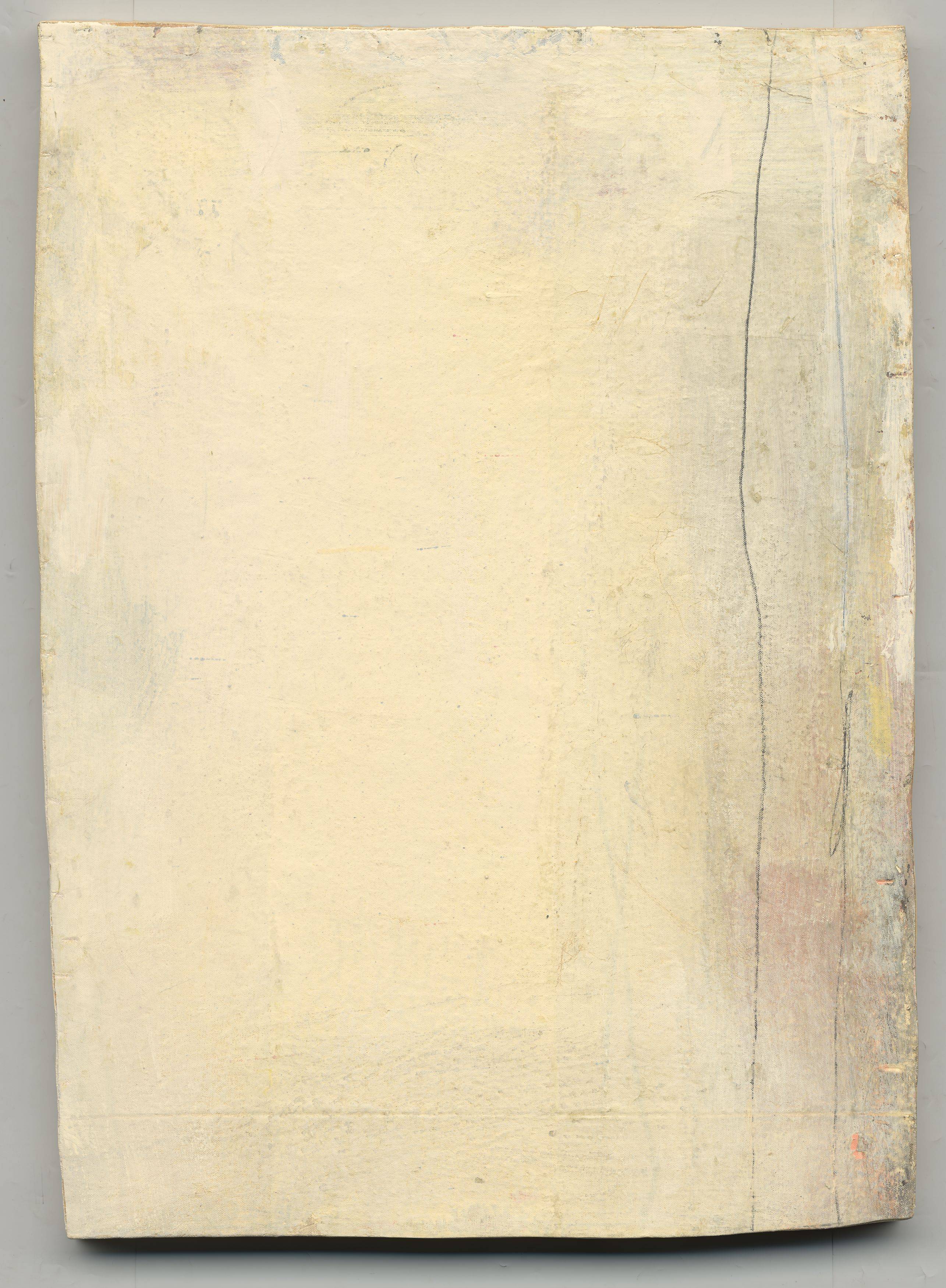 This picture shows the following artwork: Lawrence Carroll. Untitled. 2010.