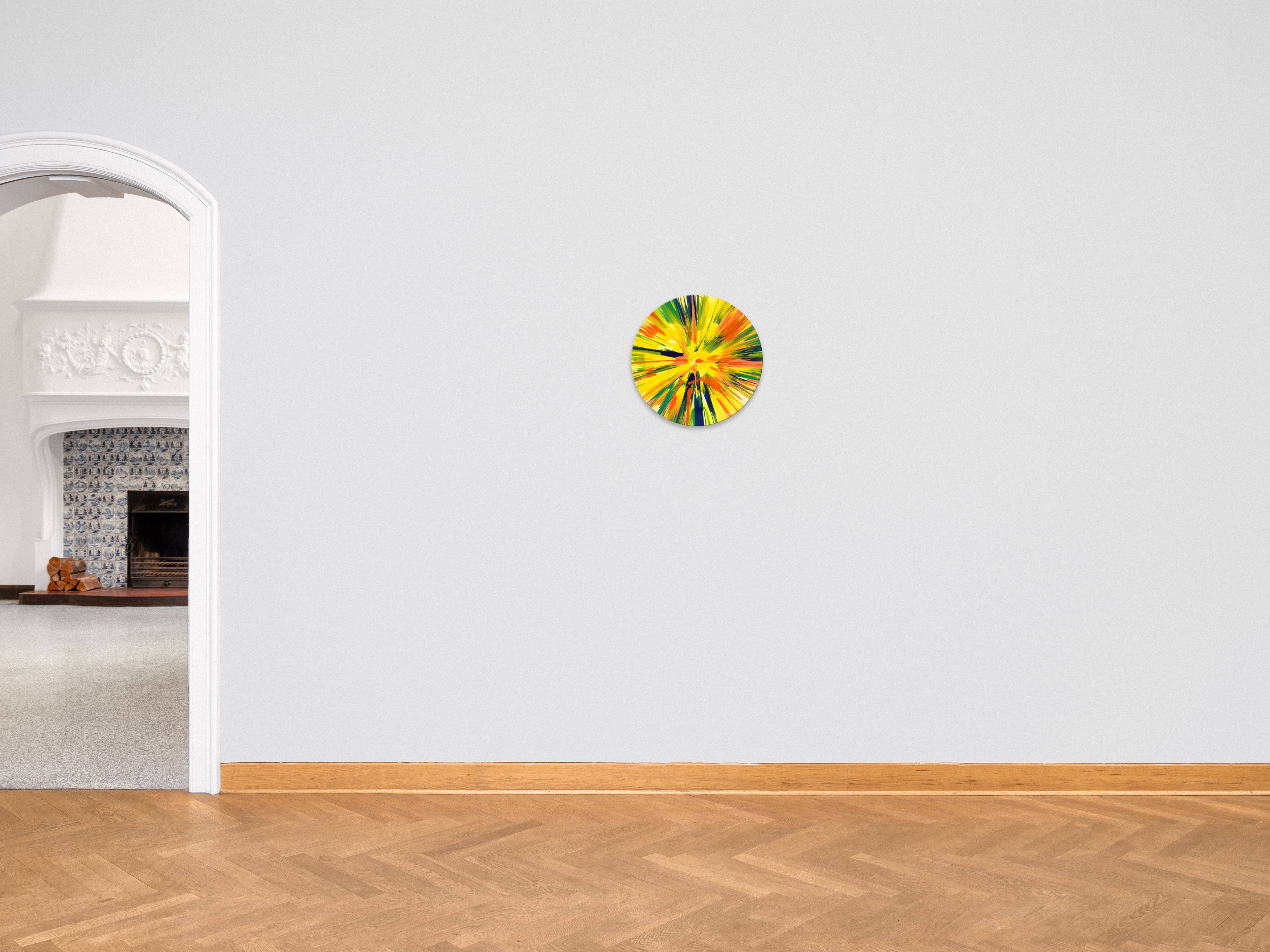 This picture shows the following artwork: Damien Hirst. ”Spin Painting”. 2009.