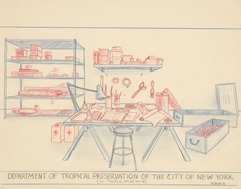 This picture shows the following artwork: Mark Dion. ”DEPARTMENT OF TROPICAL PRESERVATION OF THE CITY OF NEW YORK (On TROPICAL NATURE Part II)”. 1991.