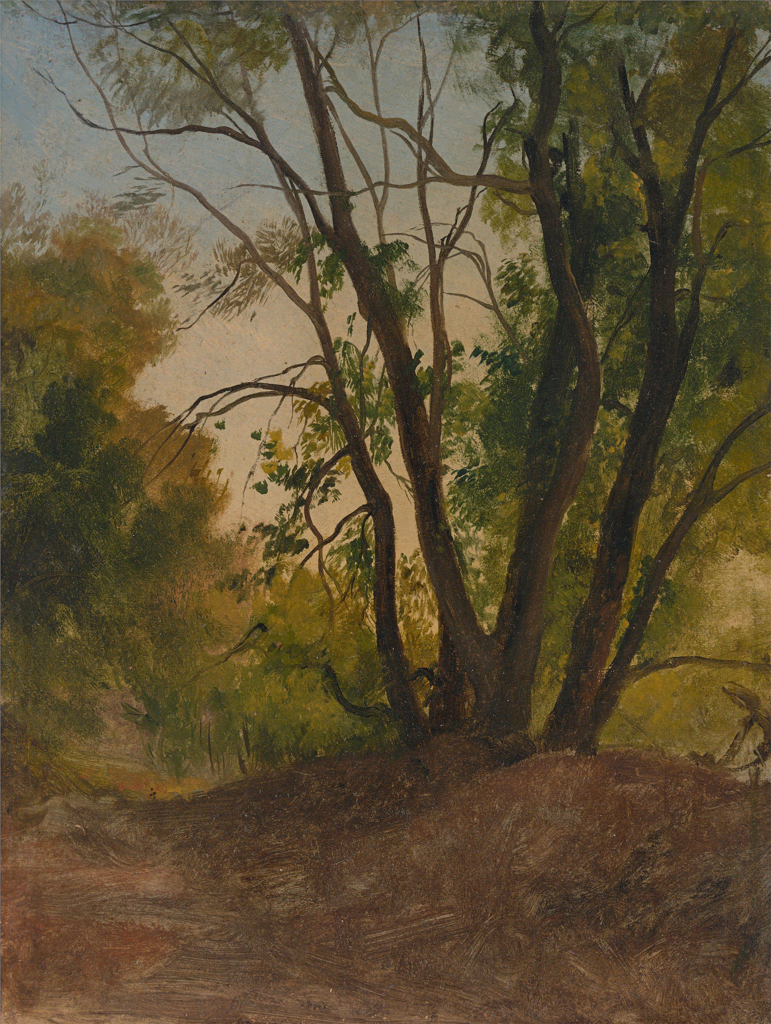 Auf diesem Bild ist das folgende Kunstwerk zu sehen: Christian Friedrich Gille. Baumstudie. Um 1835/40.
