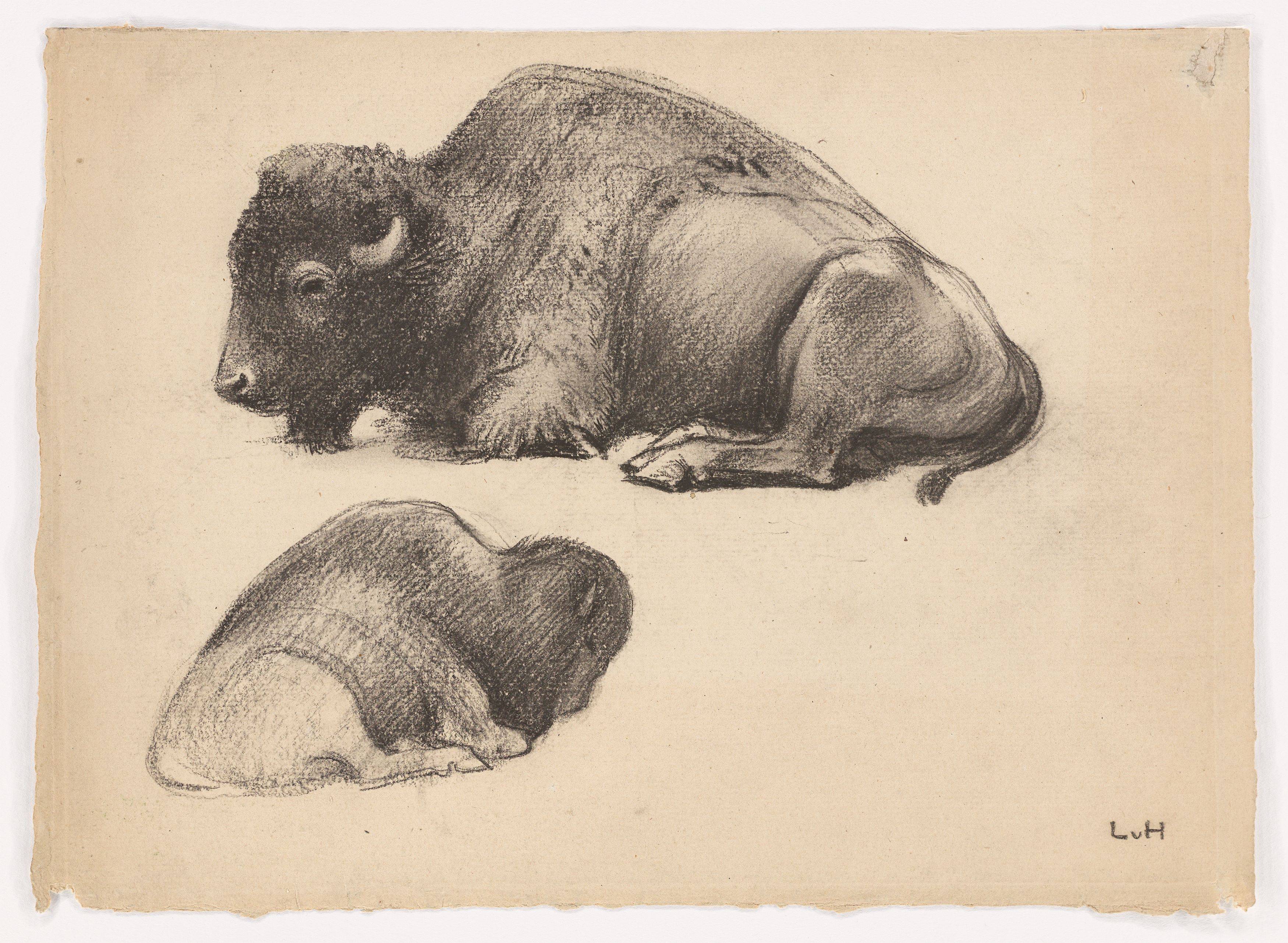 Auf diesem Bild ist das folgende Kunstwerk zu sehen: Ludwig von Hofmann. Liegender Bison in zwei Ansichten. Um 1900.