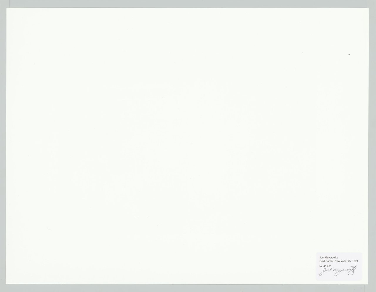 Auf diesem Bild ist das folgende Kunstwerk zu sehen: Joel Meyerowitz. Gold Corner, New York City. 1974.