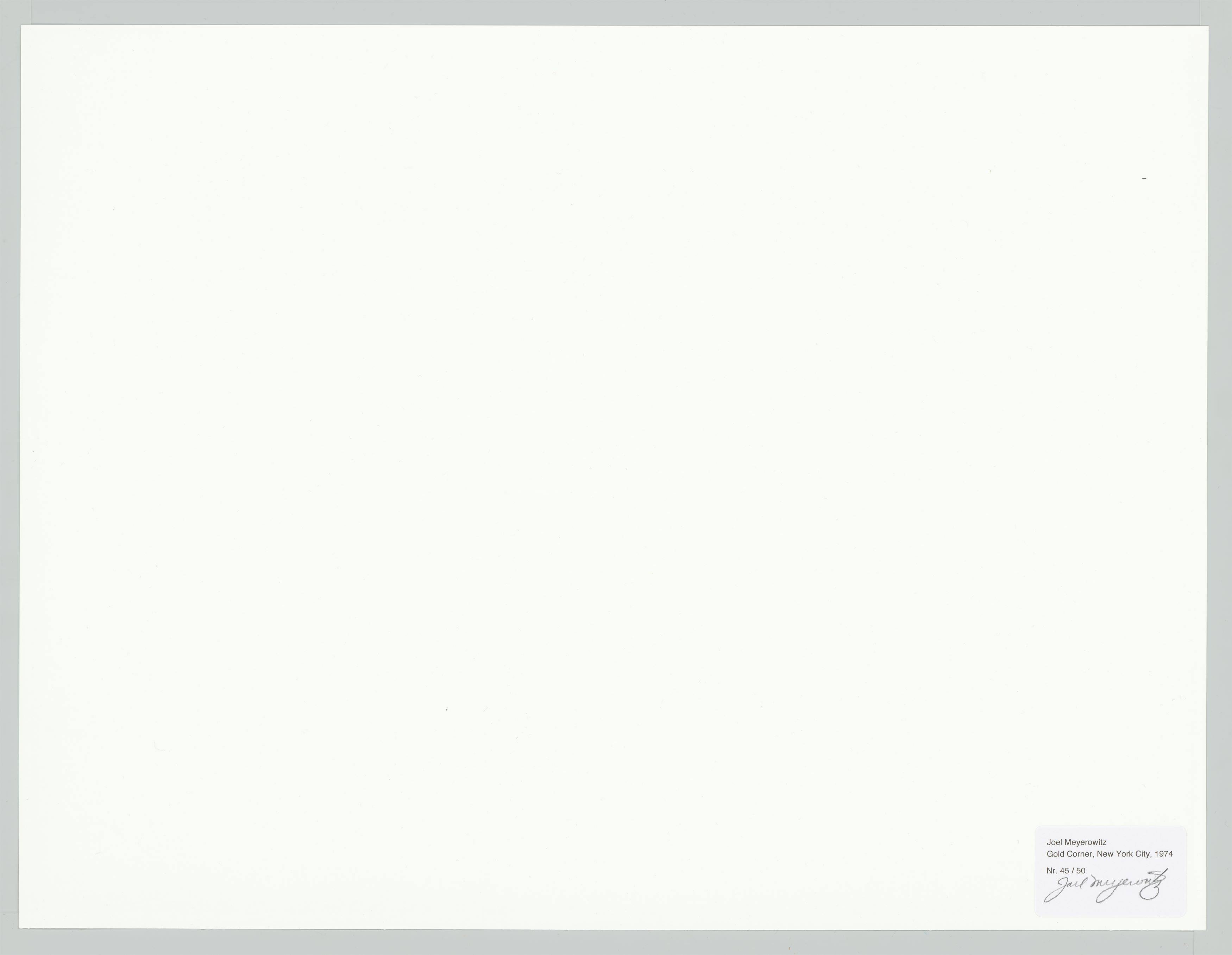 Auf diesem Bild ist das folgende Kunstwerk zu sehen: Joel Meyerowitz. Gold Corner, New York City. 1974.