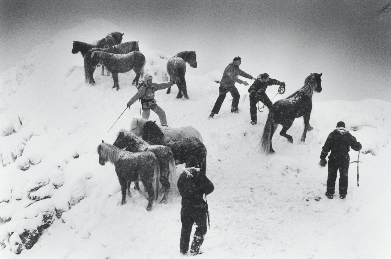 This picture shows the following artwork: Ragnar Axelsson. ”Horse rescue – Iceland”. 1995.
