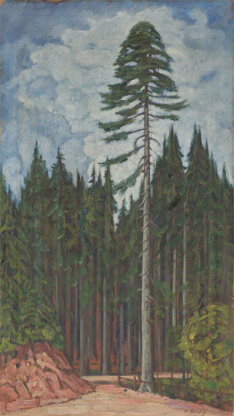 This picture shows the following artwork: Alexander Gerbig. Untitled (forest clearing).