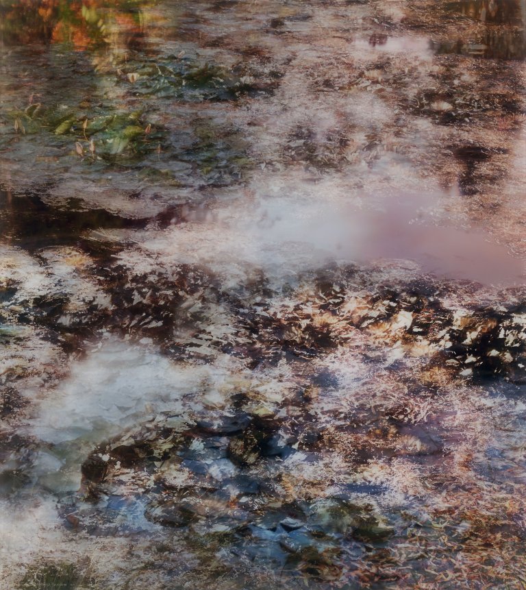Auf diesem Bild ist das folgende Kunstwerk zu sehen: Michael Wesely. „Giverny (7.7.-31.10.2016)“.