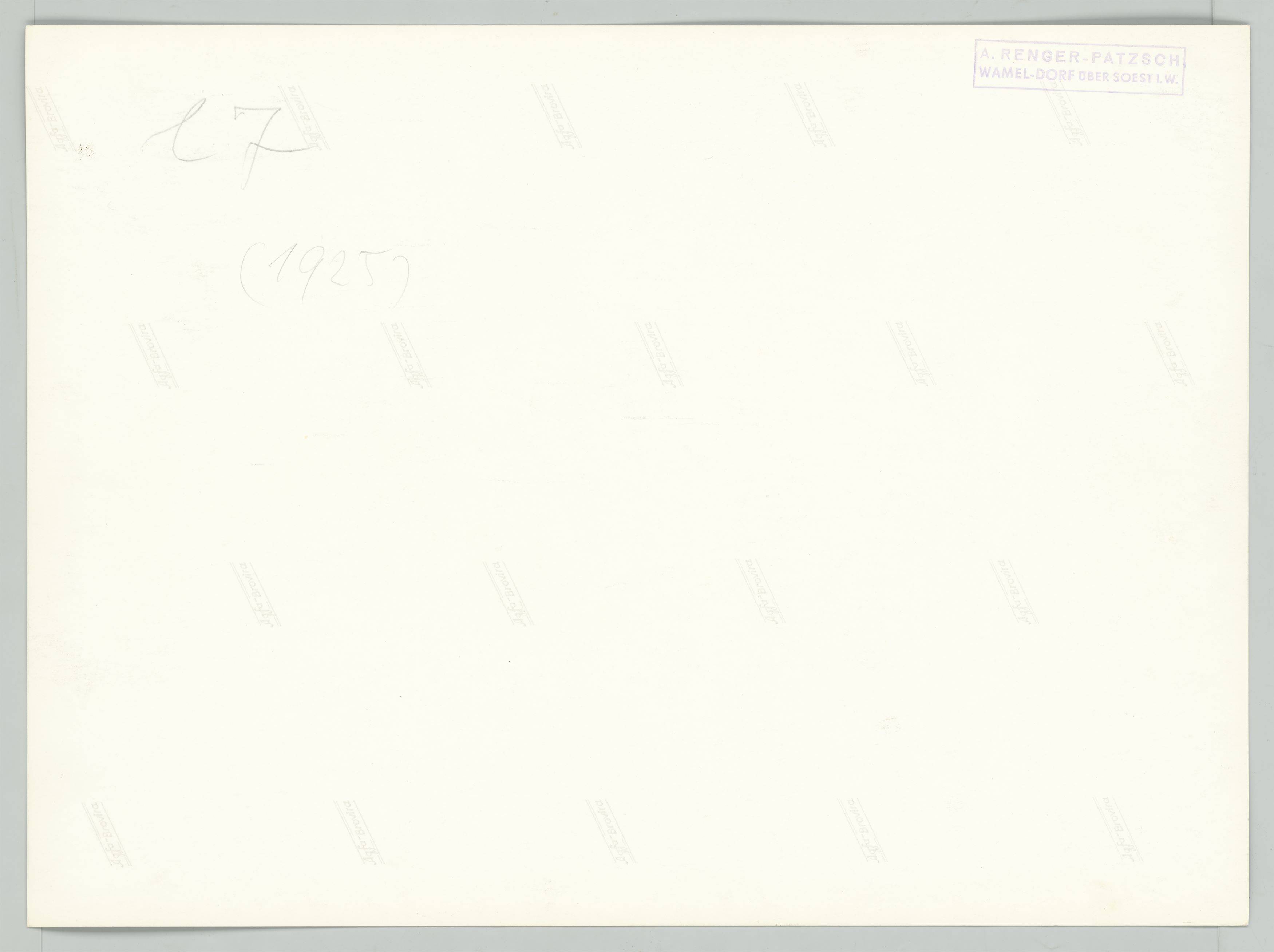 This picture shows the following artwork: Albert Renger-Patzsch. Nordseewelle (North Sea Wave). 1925.