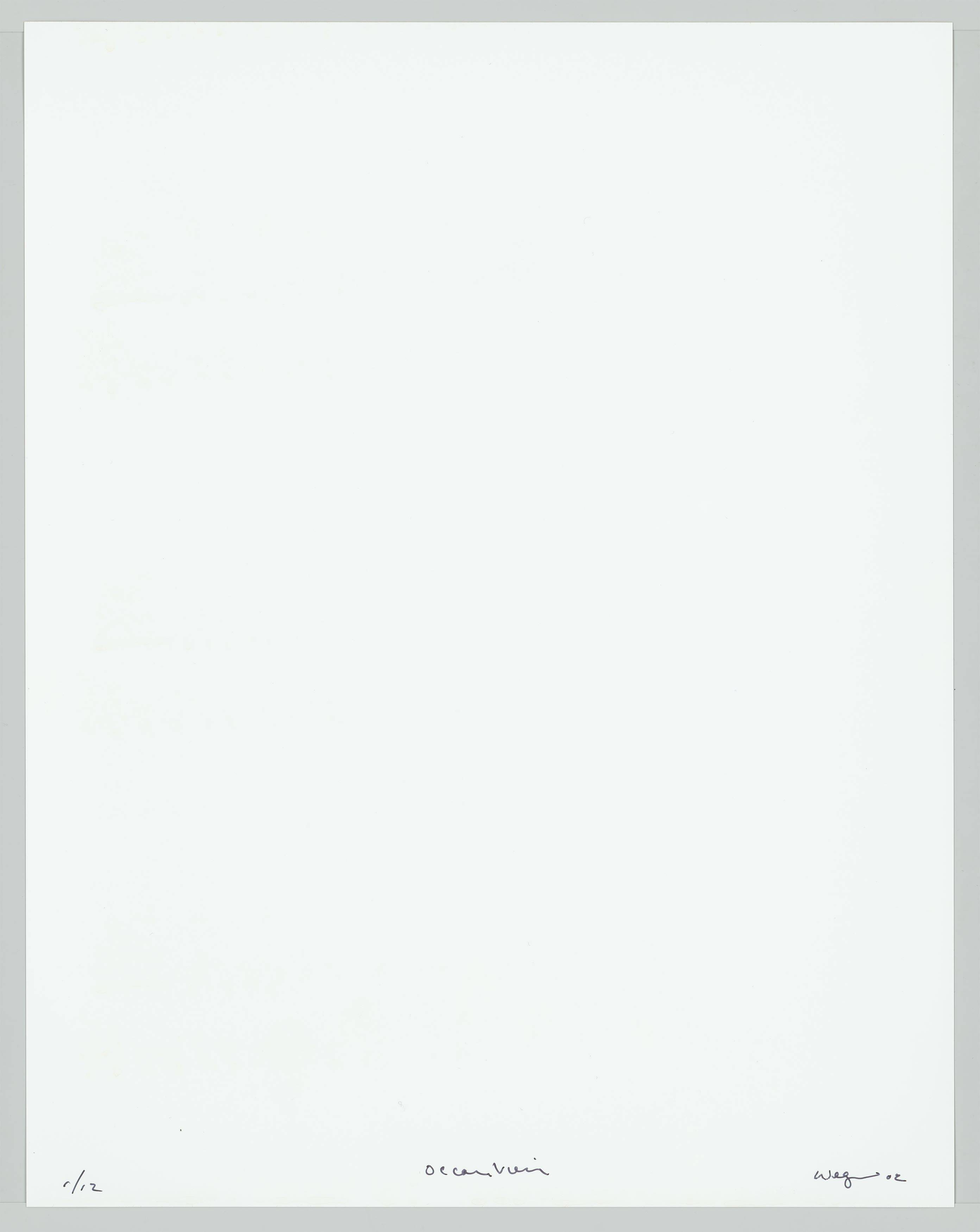 Auf diesem Bild ist das folgende Kunstwerk zu sehen: William Wegman. „Ocean View“. 2002.