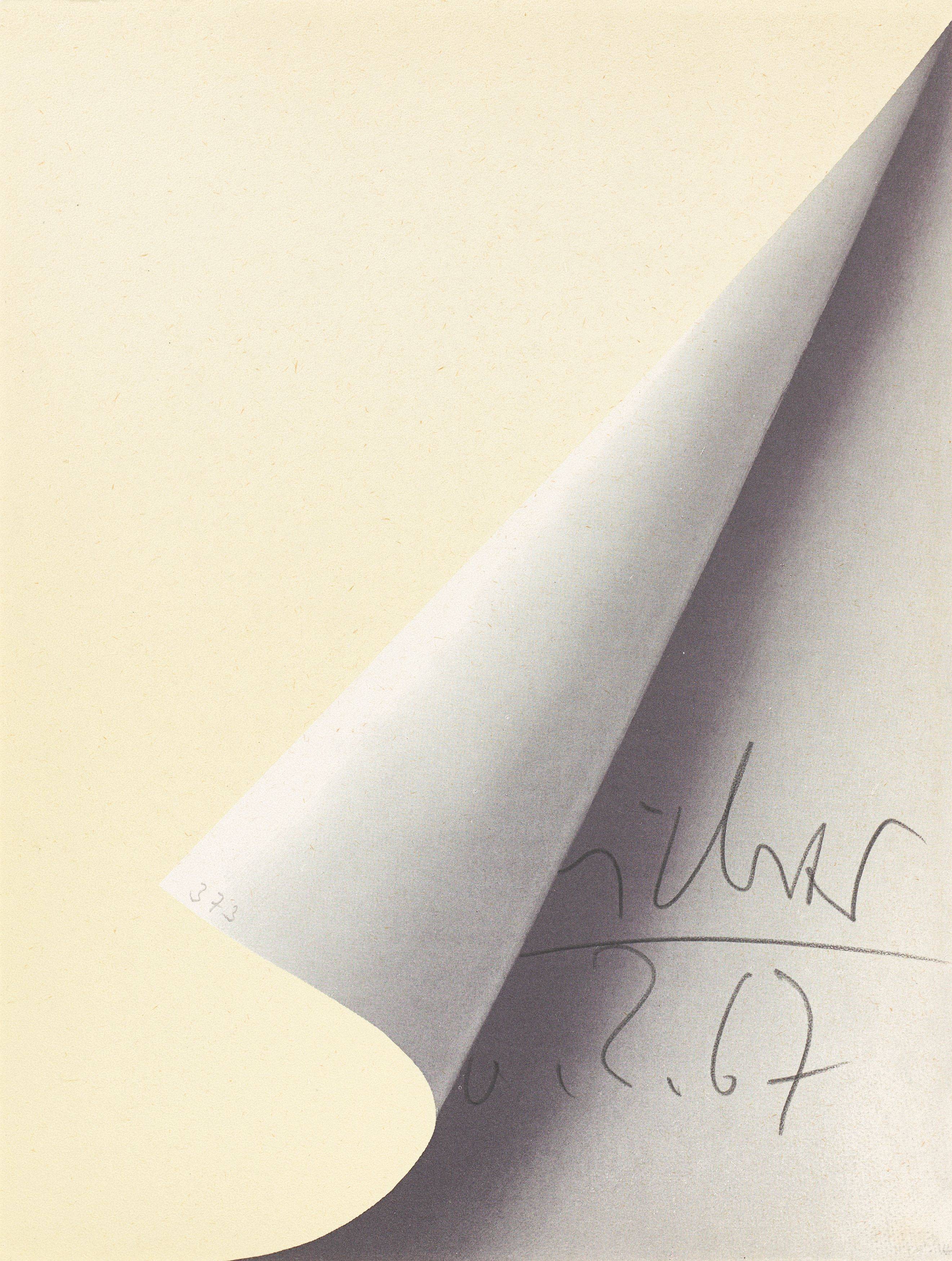 This picture shows the following artwork: Gerhard Richter. ”Blattecke”. 1967 .