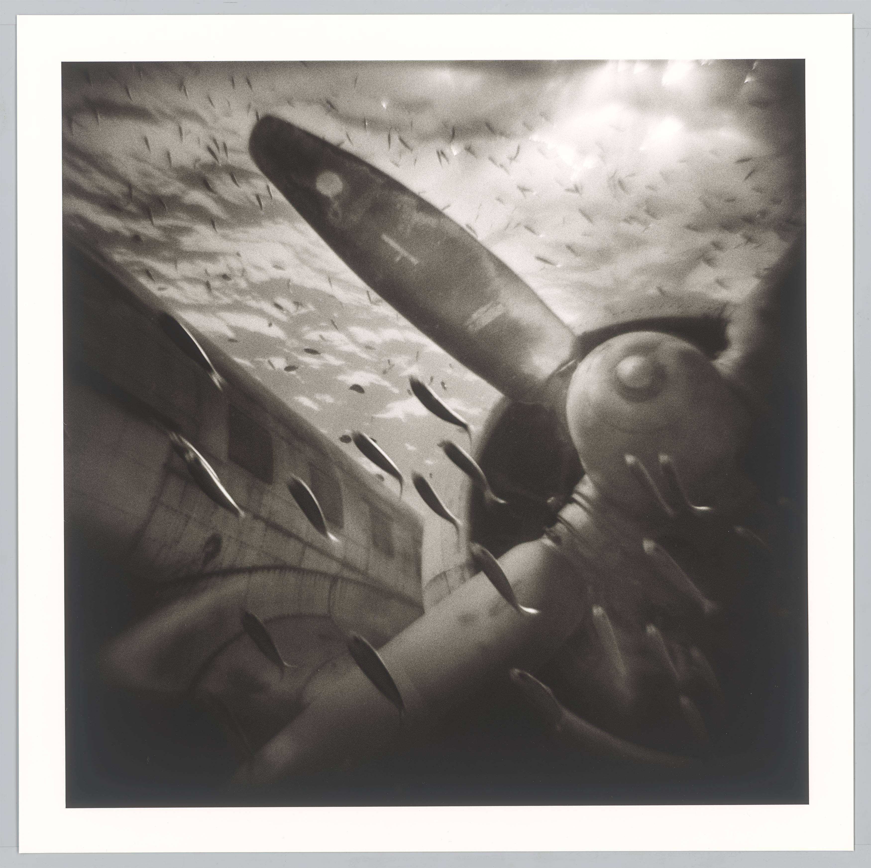 Auf diesem Bild ist das folgende Kunstwerk zu sehen: Gregor Törzs. Ciel Lourd # 8 / Ciel Lourd # 12. Je 2009.