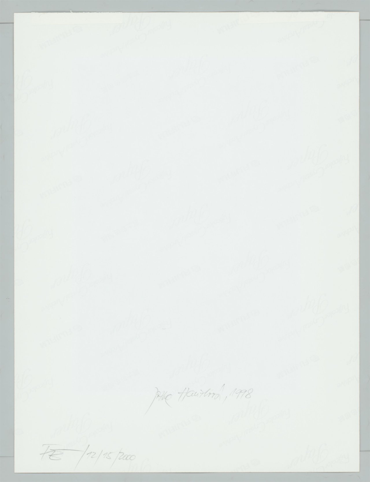 This picture shows the following artwork: Jitka Hanzlová. Petruska, Rokytnik. From the series ”Female”, 1997–2000.