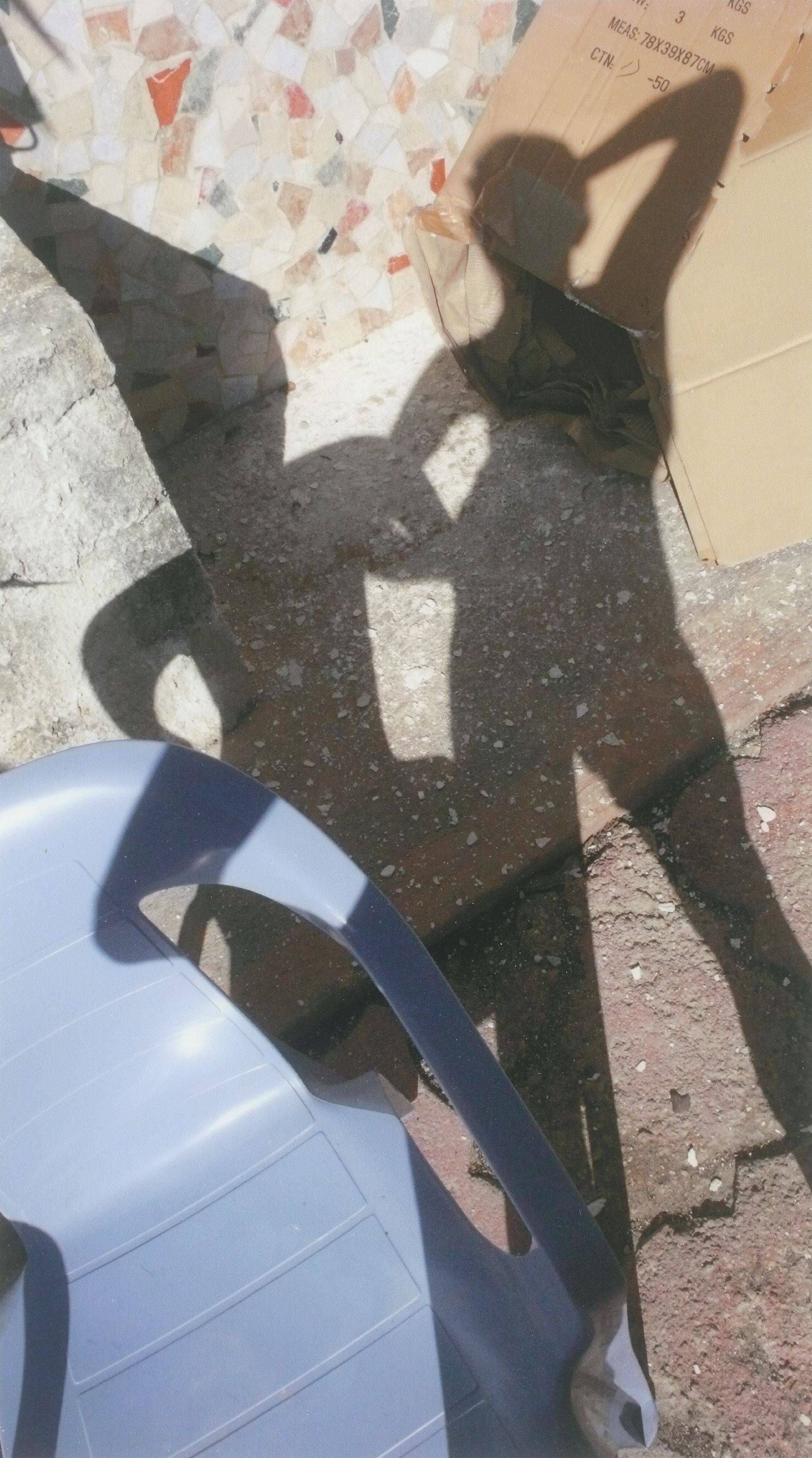 This picture shows the following artwork: Agnieszka Brzeżańska. Untitled (Self-Portrait with an Alien). 2008.