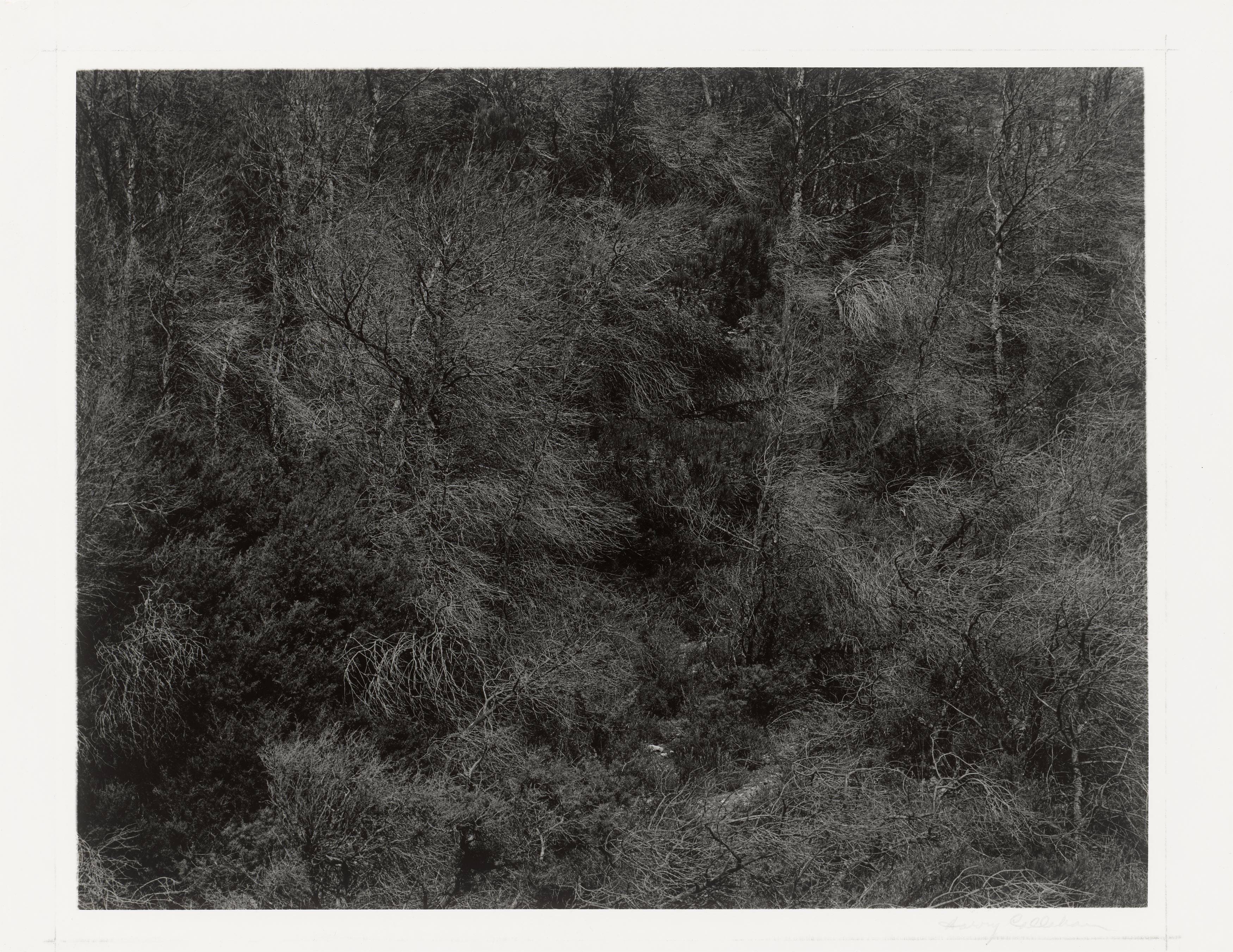 This picture shows the following artwork: Harry Callahan. Aix-en-Provence, France. 1957.