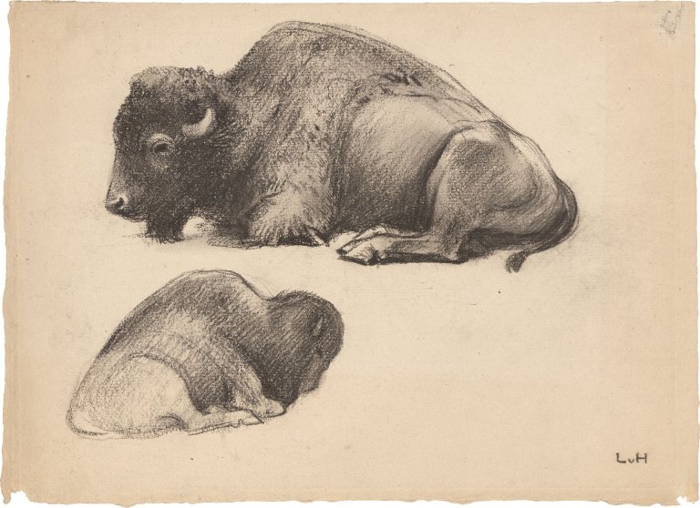 Auf diesem Bild ist das folgende Kunstwerk zu sehen: Ludwig von Hofmann. Liegender Bison in zwei Ansichten. Um 1900.