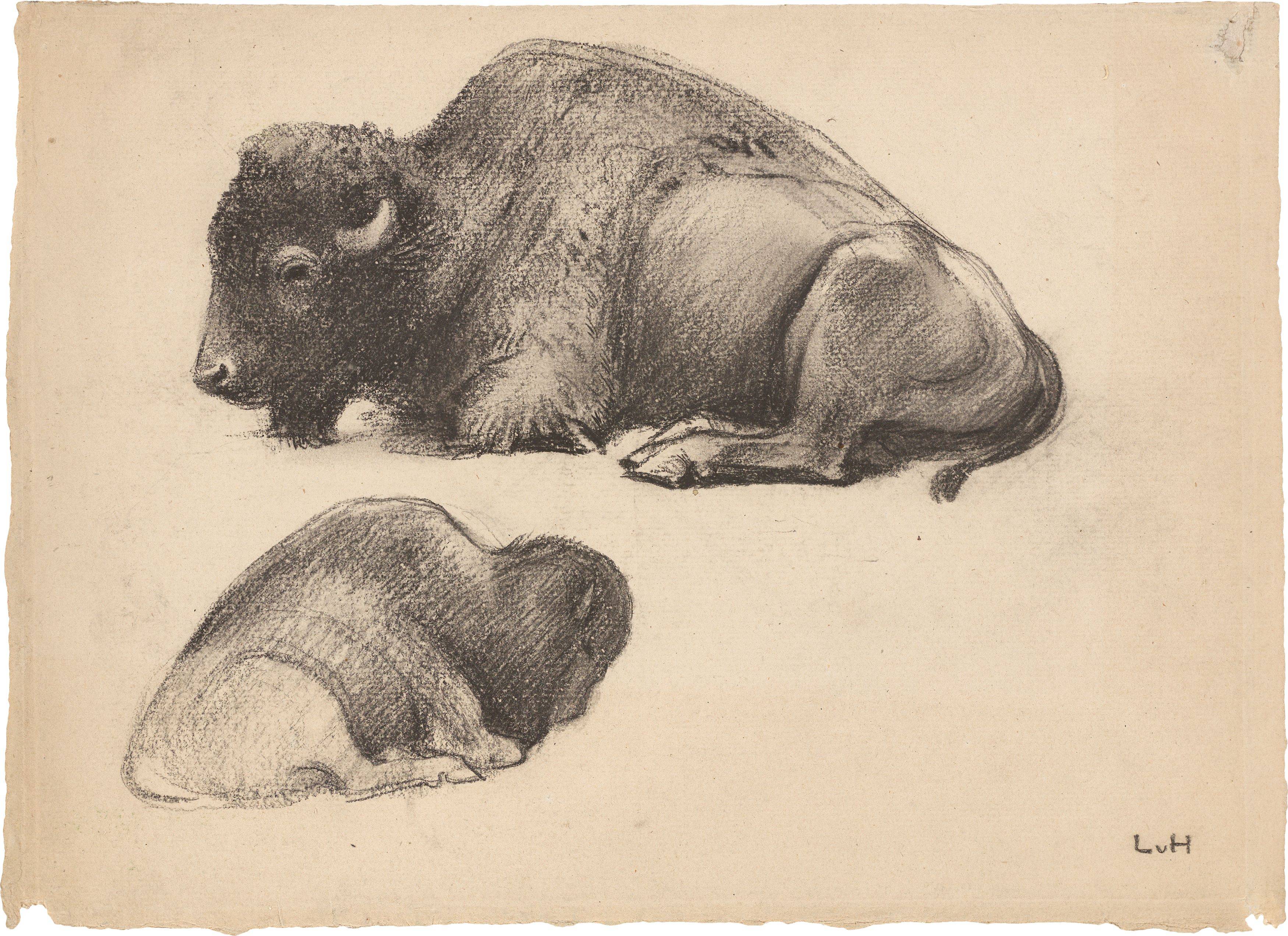 Auf diesem Bild ist das folgende Kunstwerk zu sehen: Ludwig von Hofmann. Liegender Bison in zwei Ansichten. Um 1900.