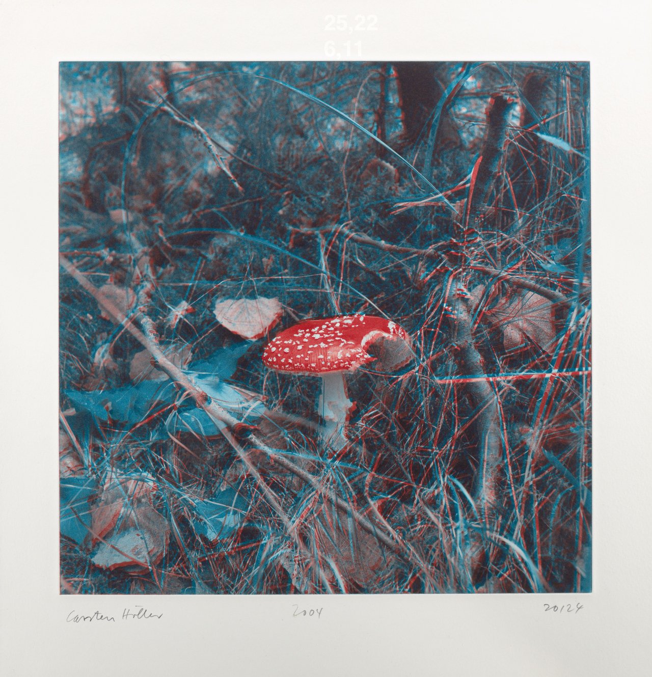 This picture shows the following artwork: Carsten Höller. From: ”Mushrooms”. 2004.