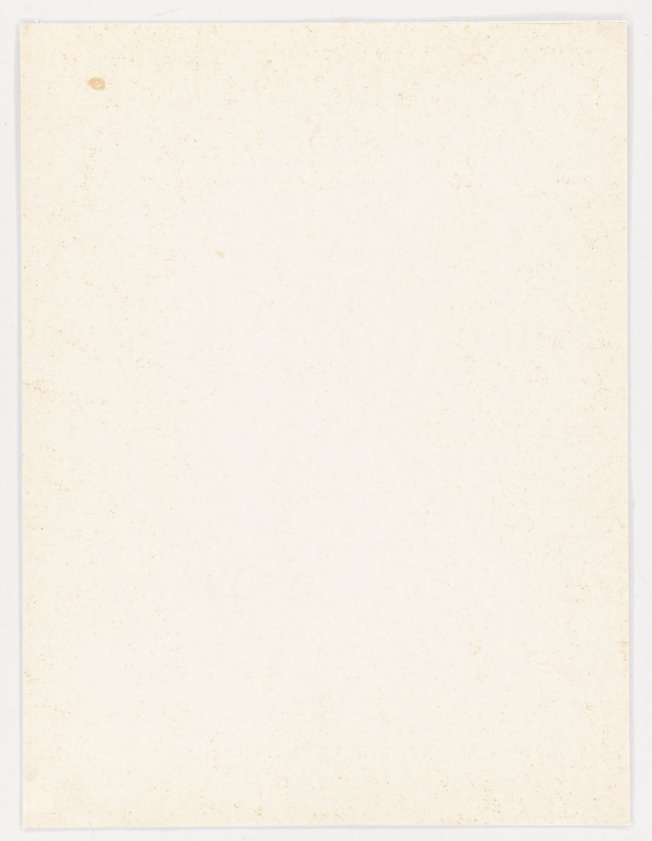 This picture shows the following artwork: Gerhard Richter. ”Blattecke”. 1967 .