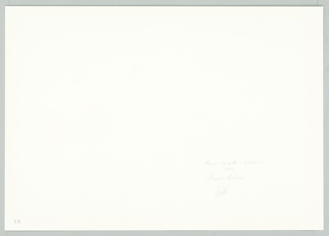 This picture shows the following artwork: Ragnar Axelsson. ”Horse rescue – Iceland”. 1995.