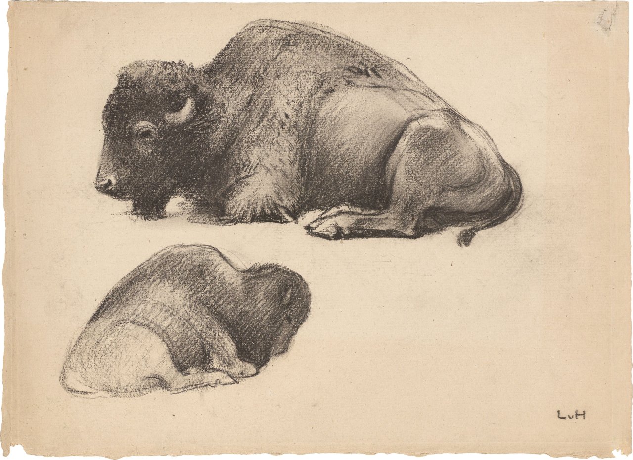 This picture shows the following artwork: Ludwig von Hofmann. Liegender Bison in zwei Ansichten (Reclining bison in two different views). Circa 1900.