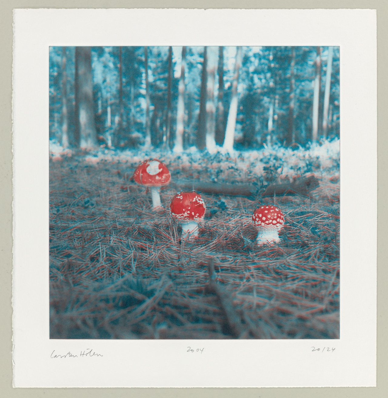 This picture shows the following artwork: Carsten Höller. From: ”Mushrooms”. 2004.