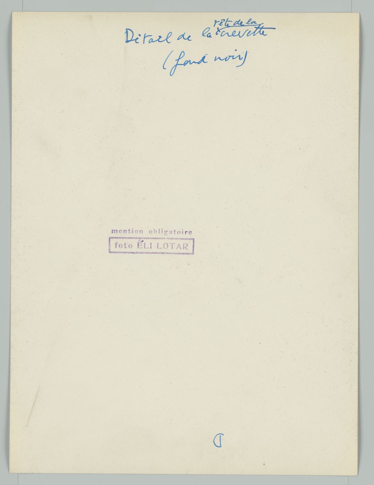 This picture shows the following artwork: Eli Lotar. ”Détail de la tête de la crevette (fond noir)”. 1929.