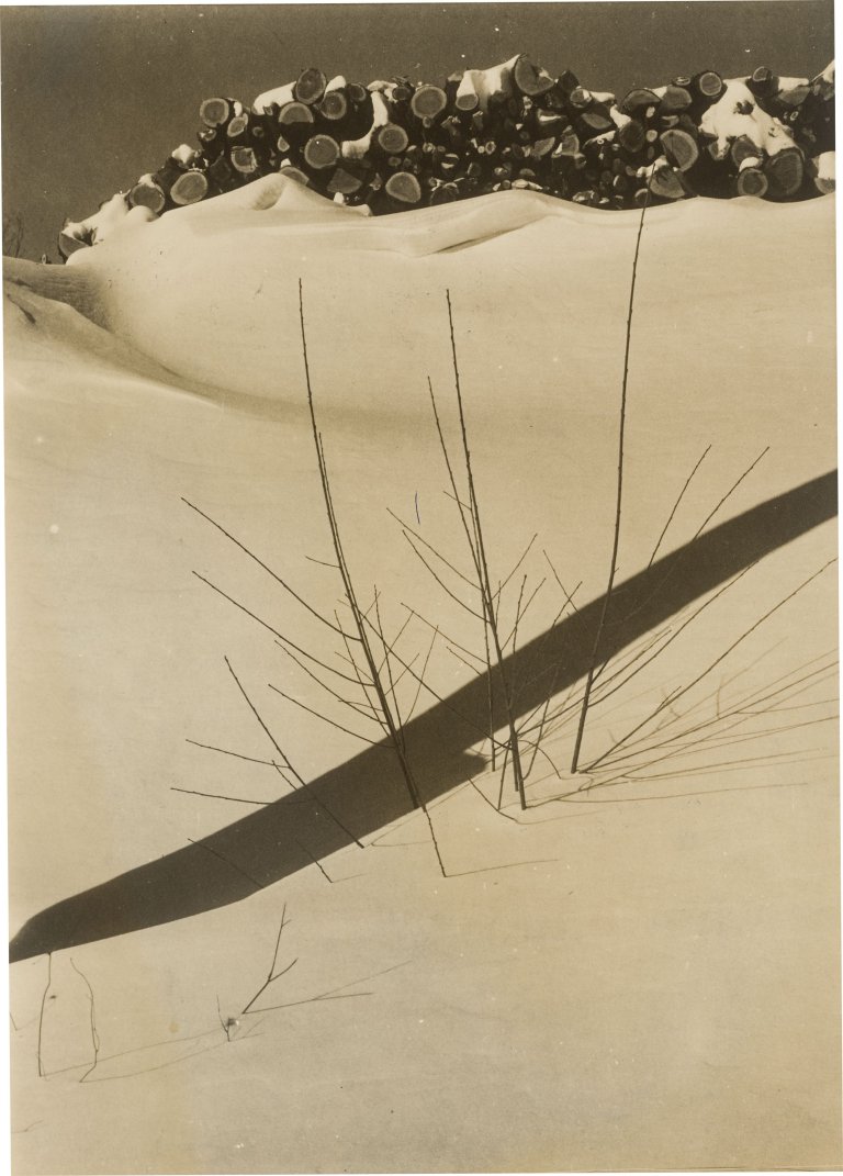 Auf diesem Bild ist das folgende Kunstwerk zu sehen: Edward Steichen. Walden Pond. 1934.