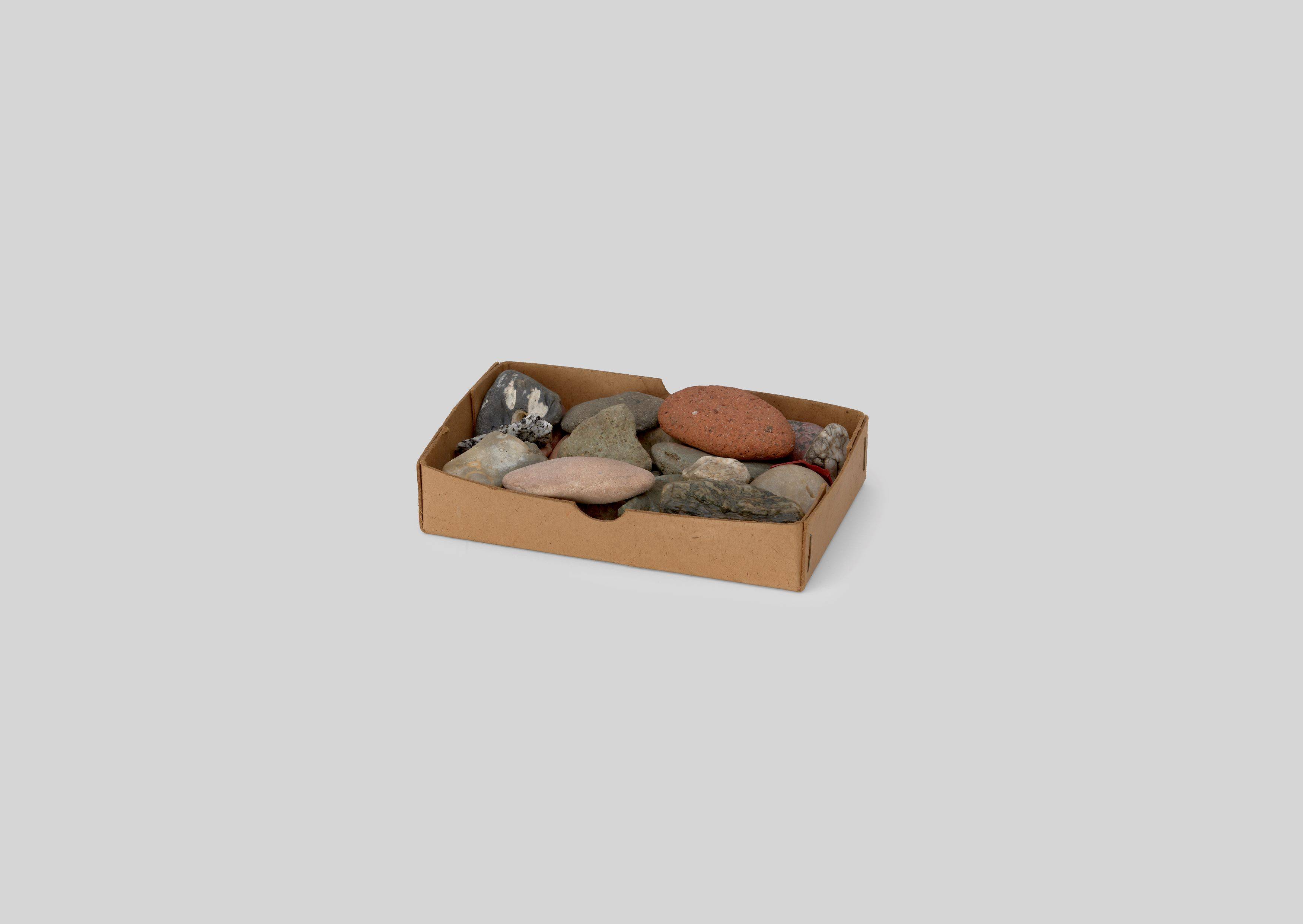 Auf diesem Bild ist das folgende Kunstwerk zu sehen: Hermann Glöckner. Materialsammlung farbige Steine.