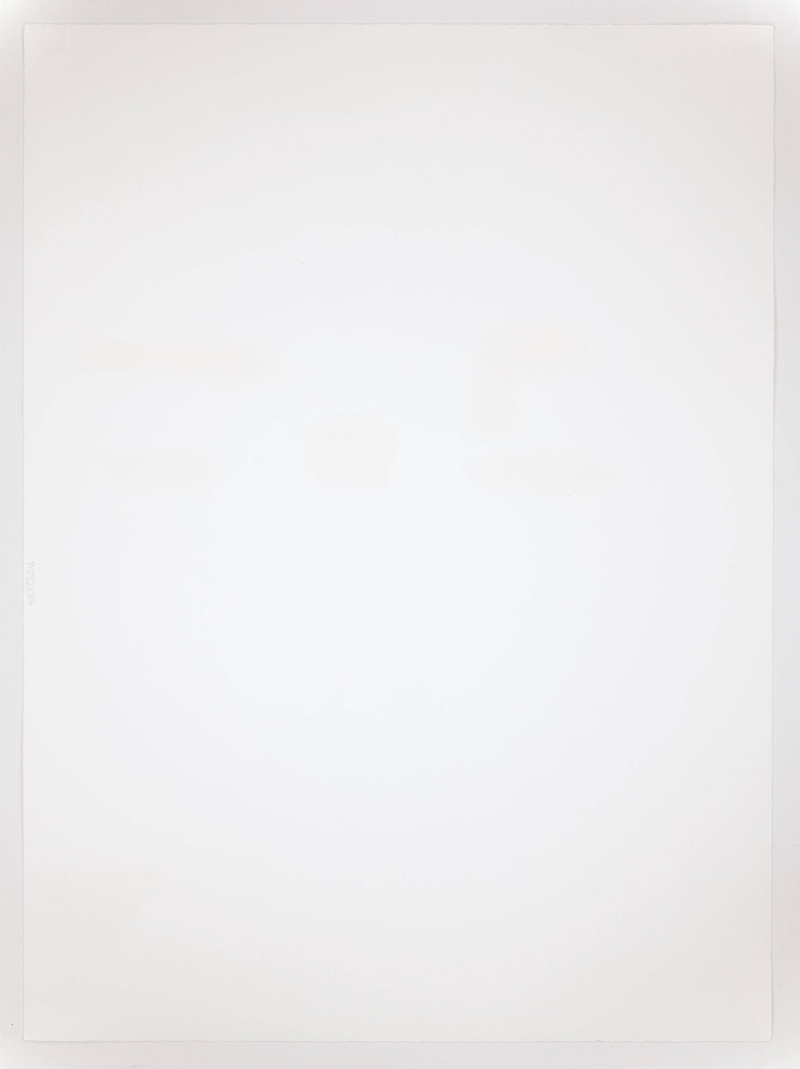 This picture shows the following artwork: Joseph Beuys. From: ”Spur II”. 1977.