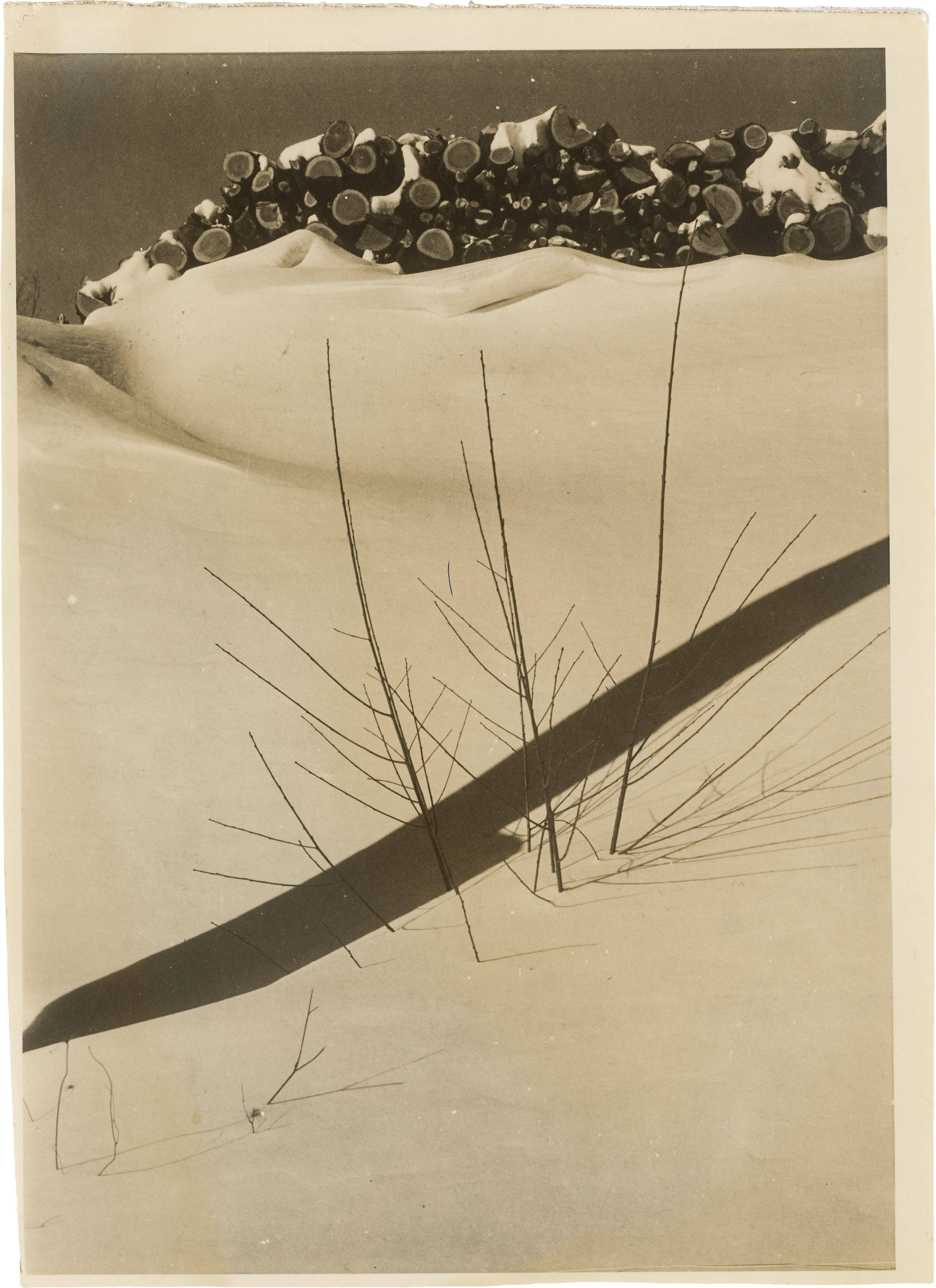 Auf diesem Bild ist das folgende Kunstwerk zu sehen: Edward Steichen. Walden Pond. 1934.