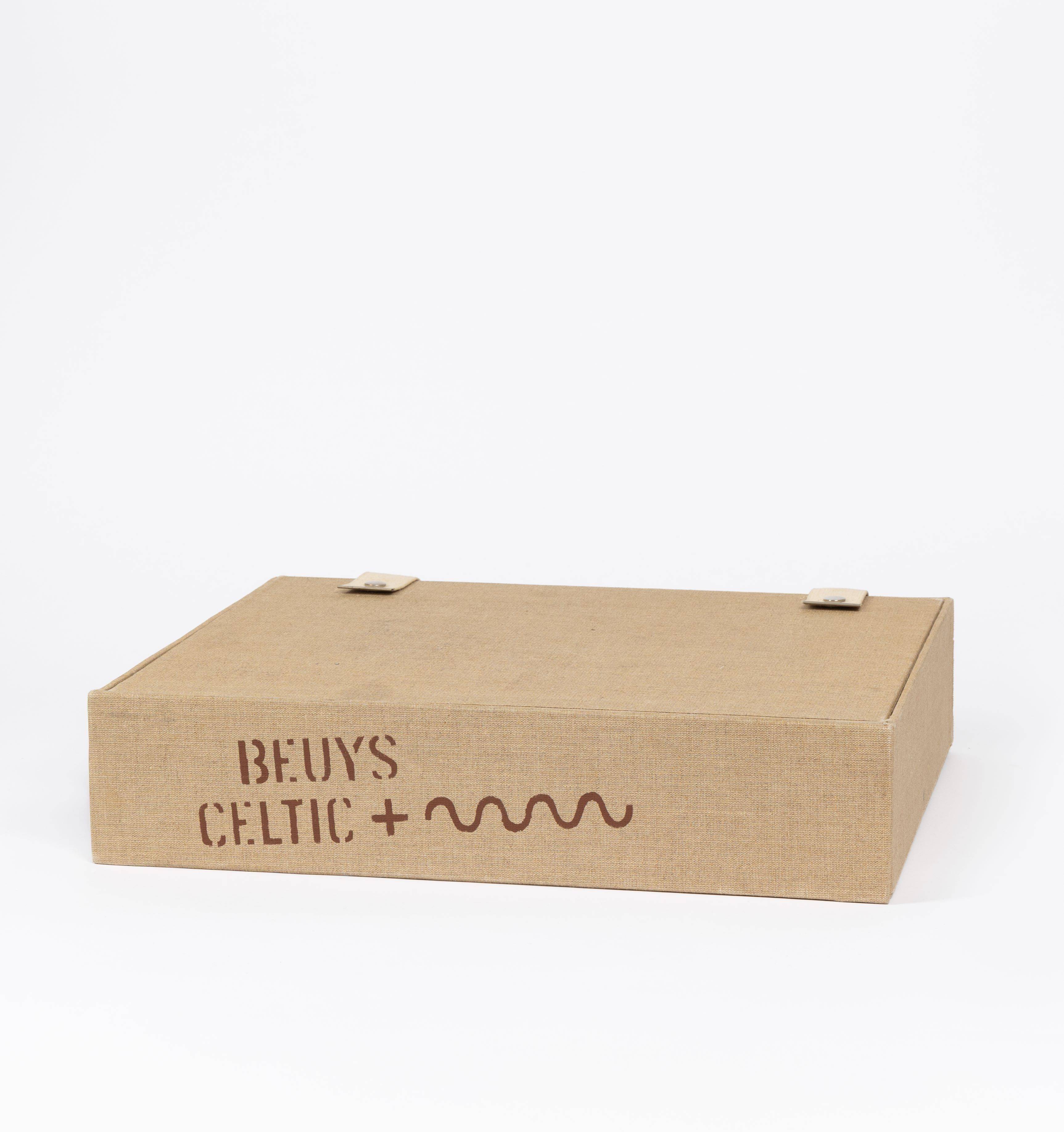This picture shows the following artwork: Joseph Beuys. ”Celtic + ~~~~~~~~”. 1971.