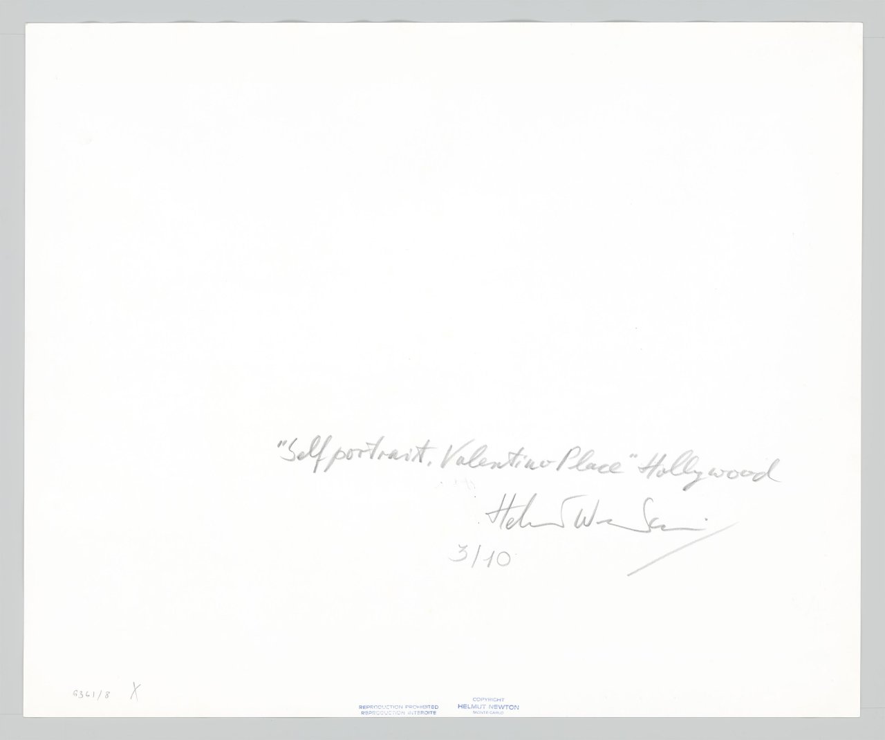 This picture shows the following artwork: Helmut Newton. ”'Selfportrait. Valentino Place' Hollywood”. 1986.